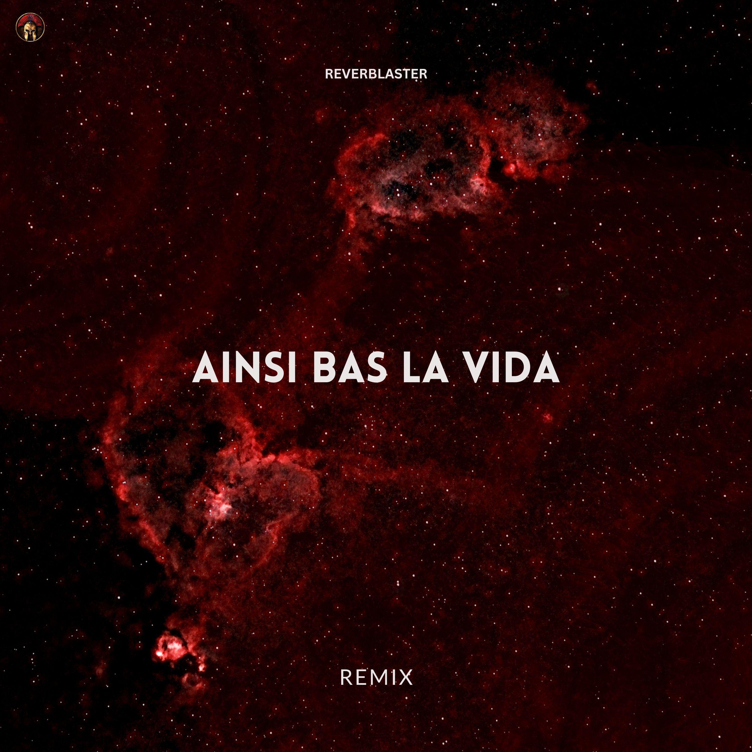 Постер альбома Ainsi Bas La Vida - Remix
