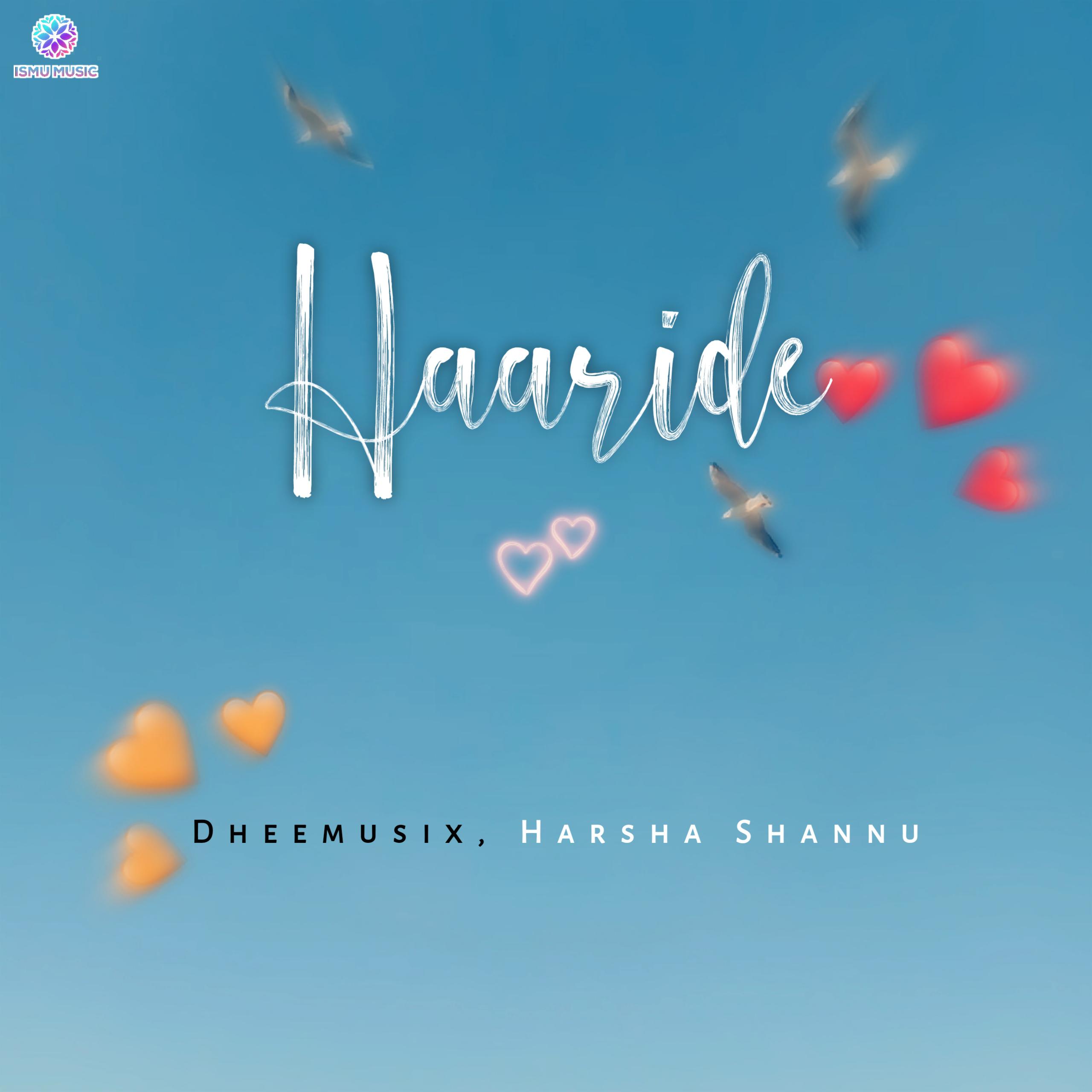 Постер альбома Haaride