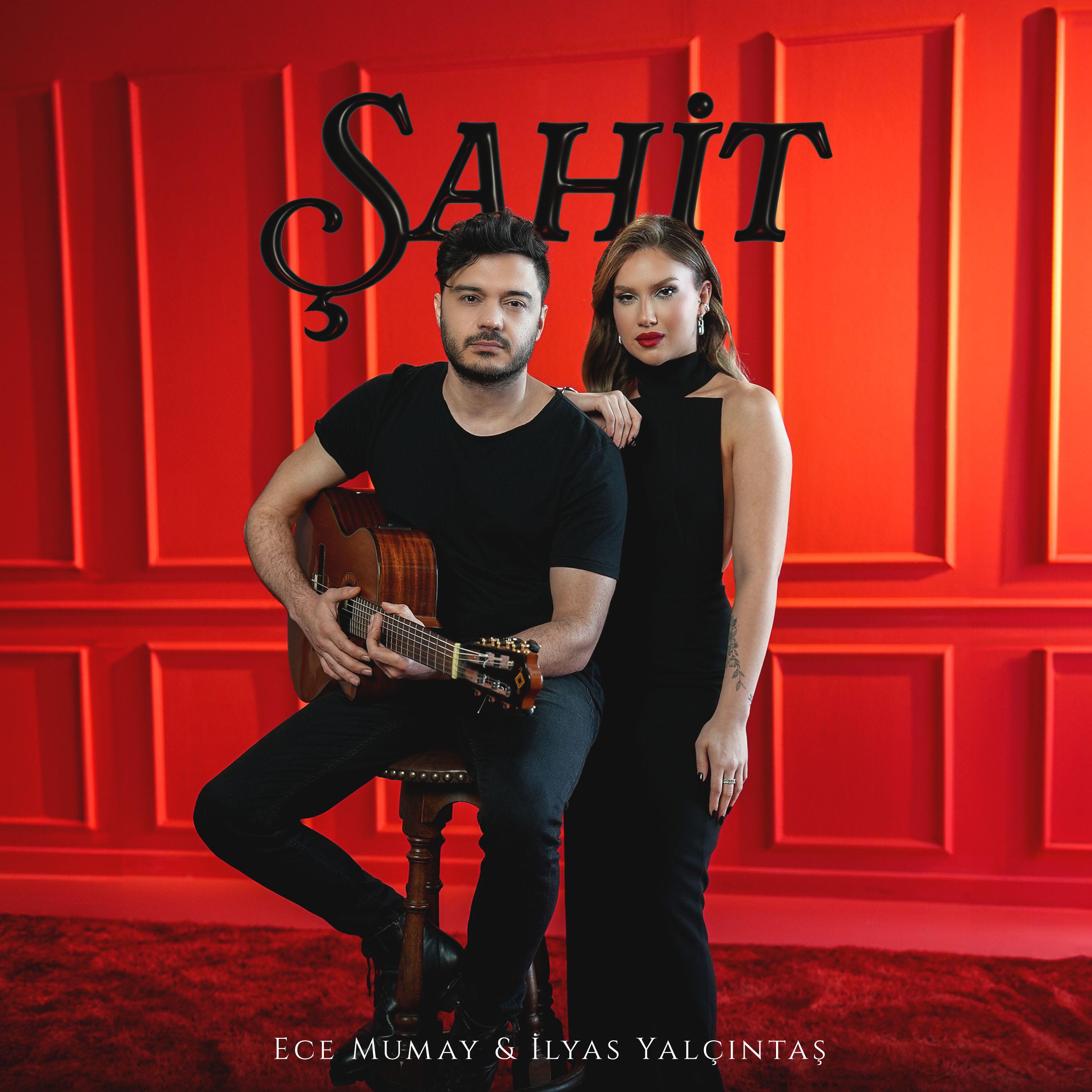 Постер альбома Şahit