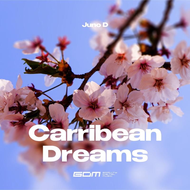 Постер альбома Carribean Dreams