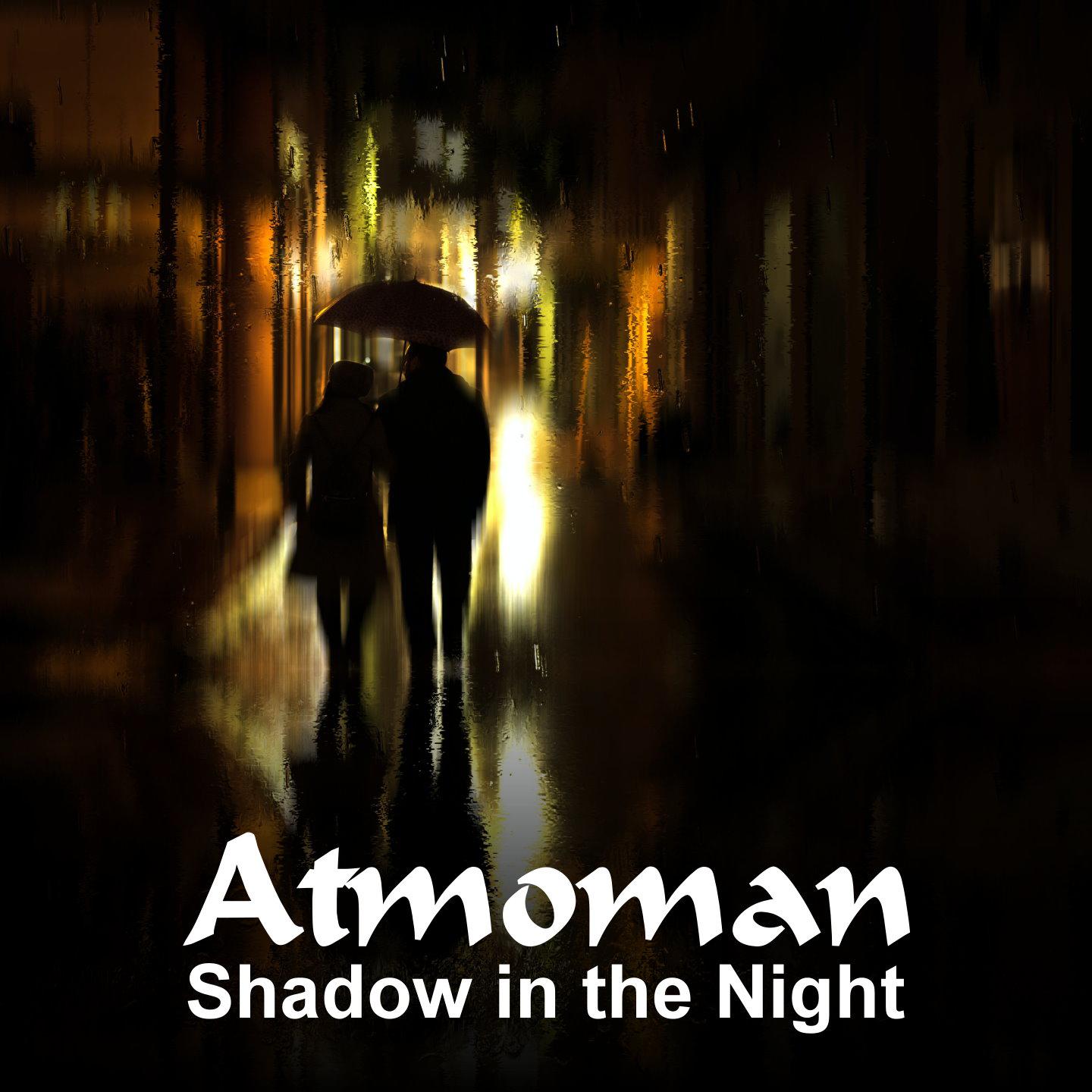 Постер альбома Shadow in the night