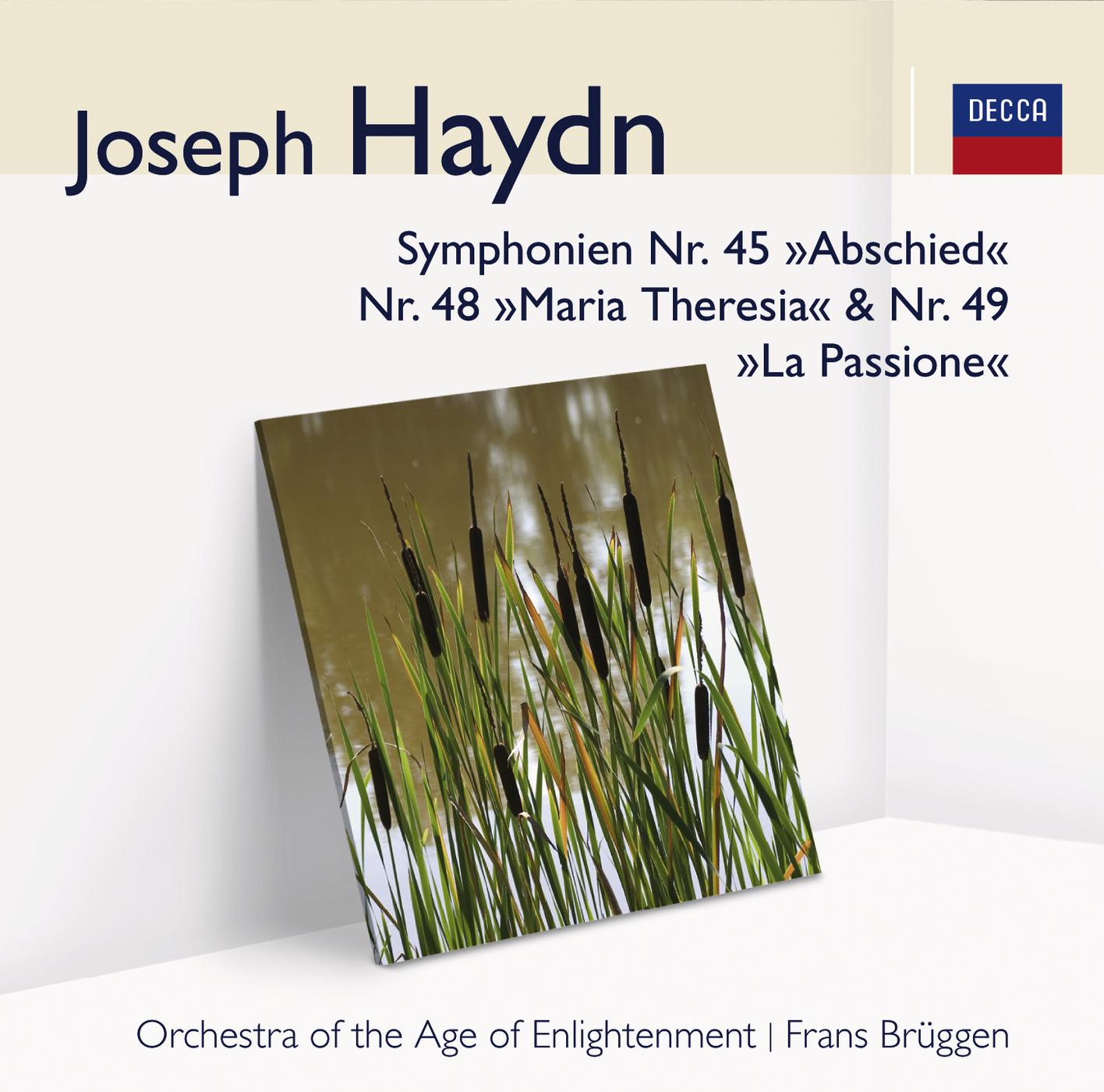 Постер альбома Haydn Symphonien Nr. 45, Nr. 48 & Nr. 49
