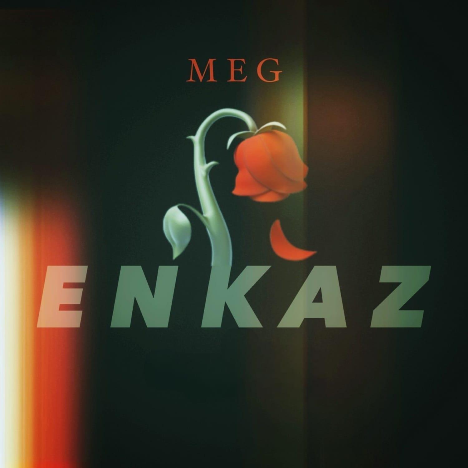 Постер альбома Enkaz