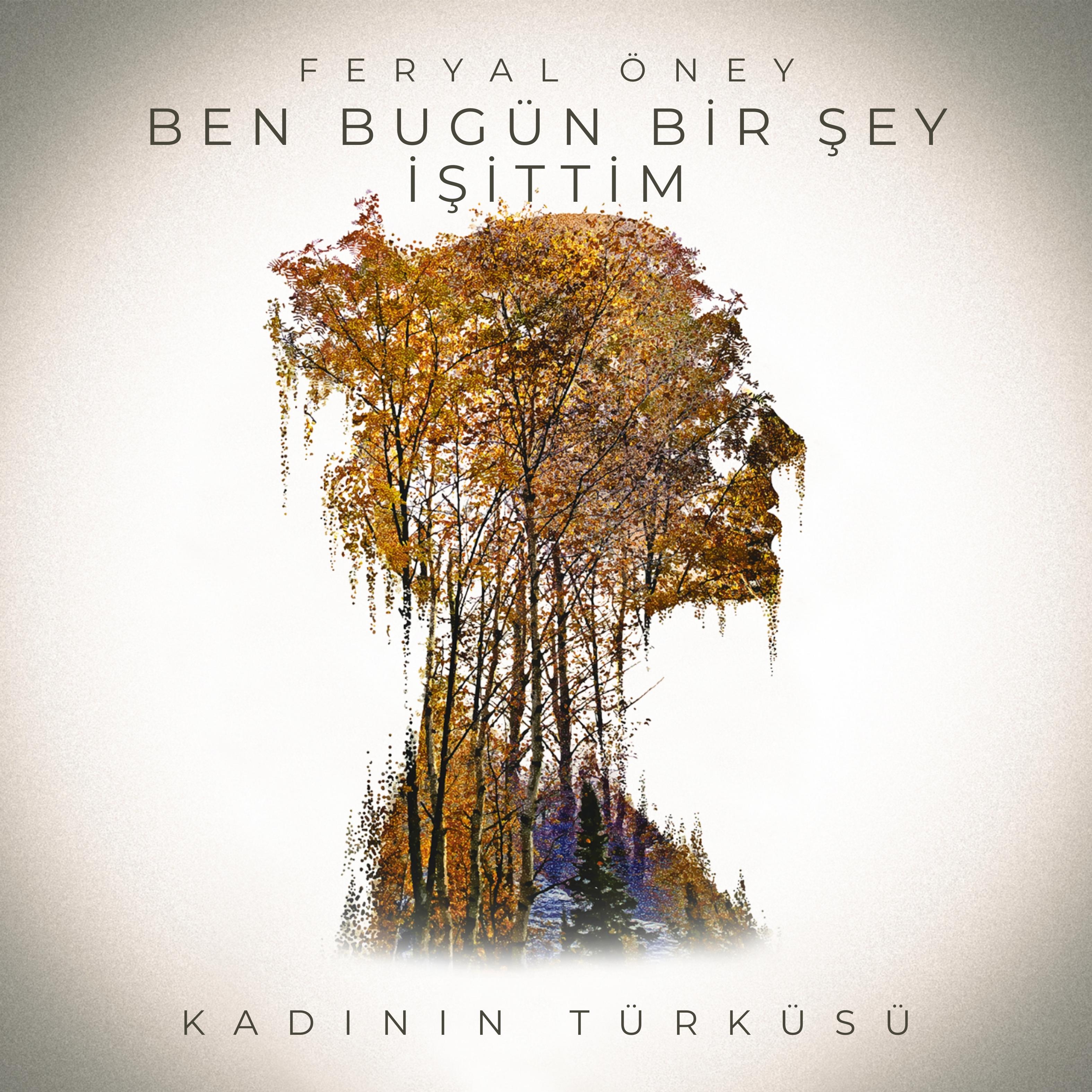 Постер альбома Ben Bugün Bir Şey İşittim