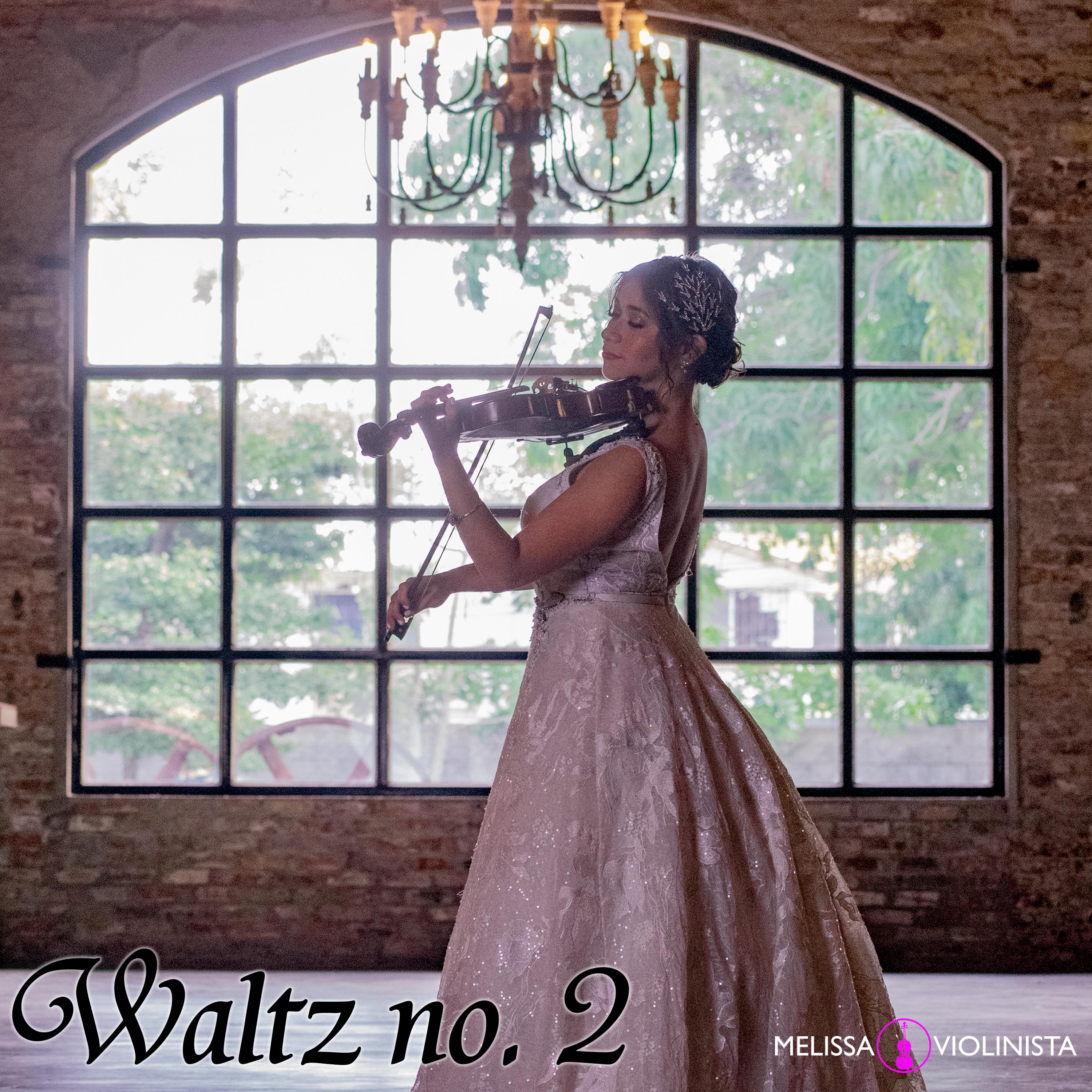Постер альбома Waltz No.2