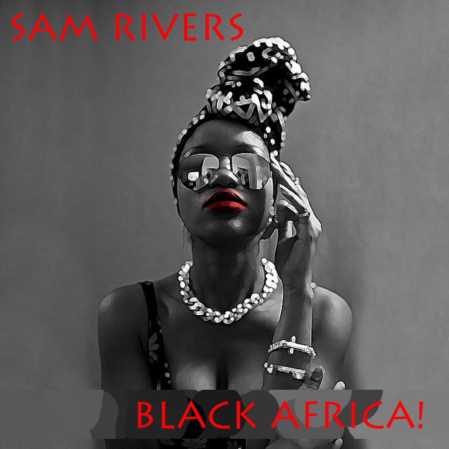 Постер альбома Black Africa!