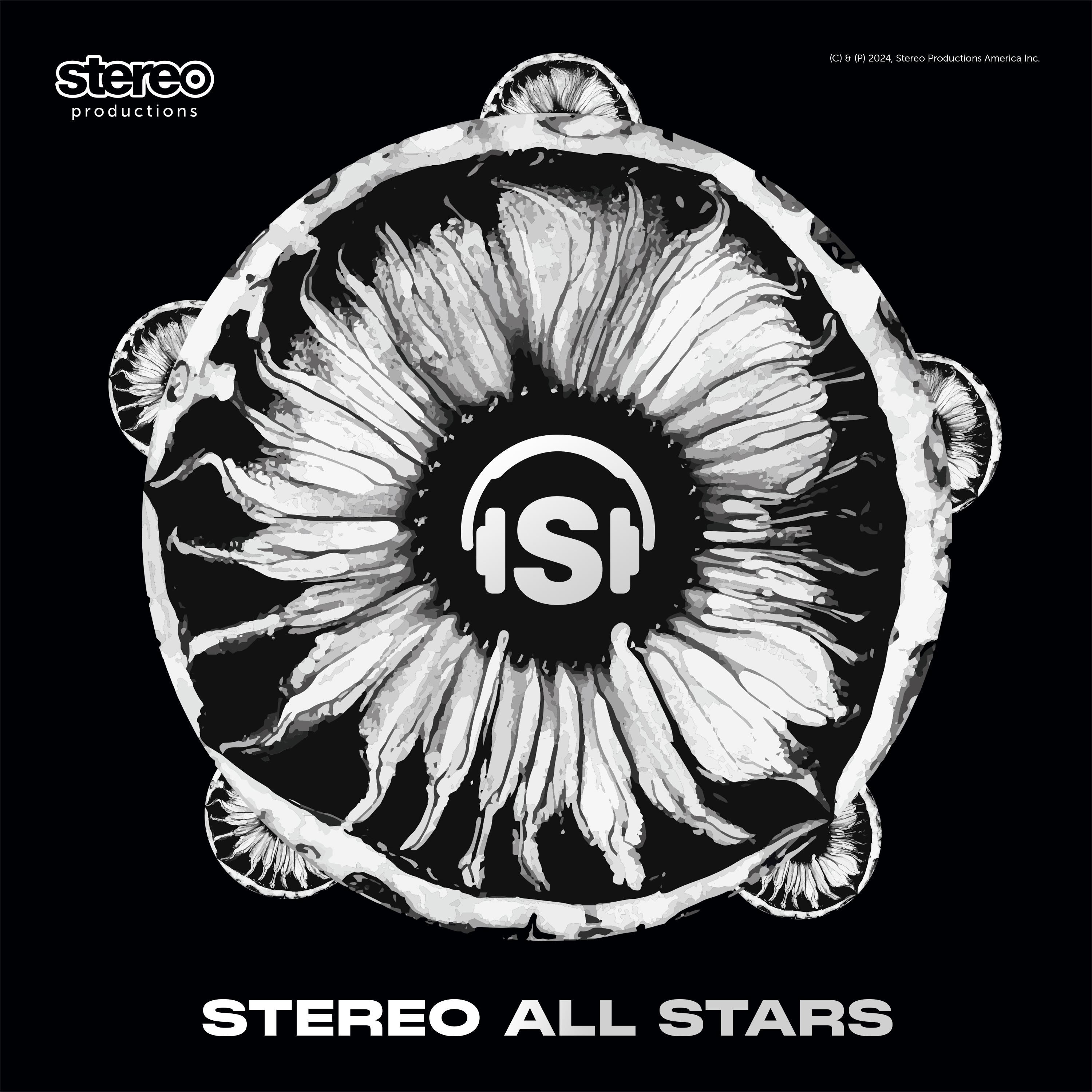 Постер альбома Stereo All Stars