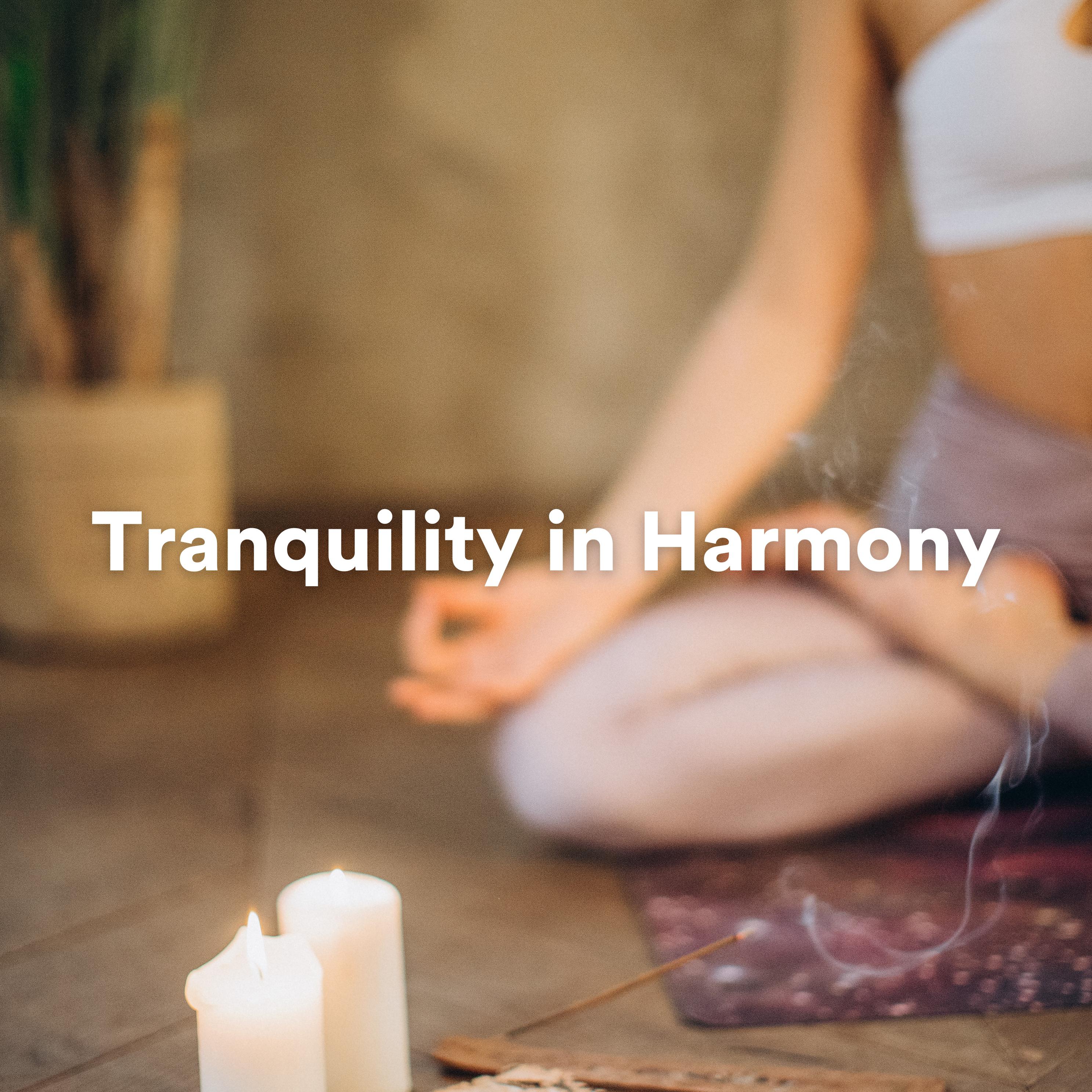 Постер альбома Tranquility in Harmony