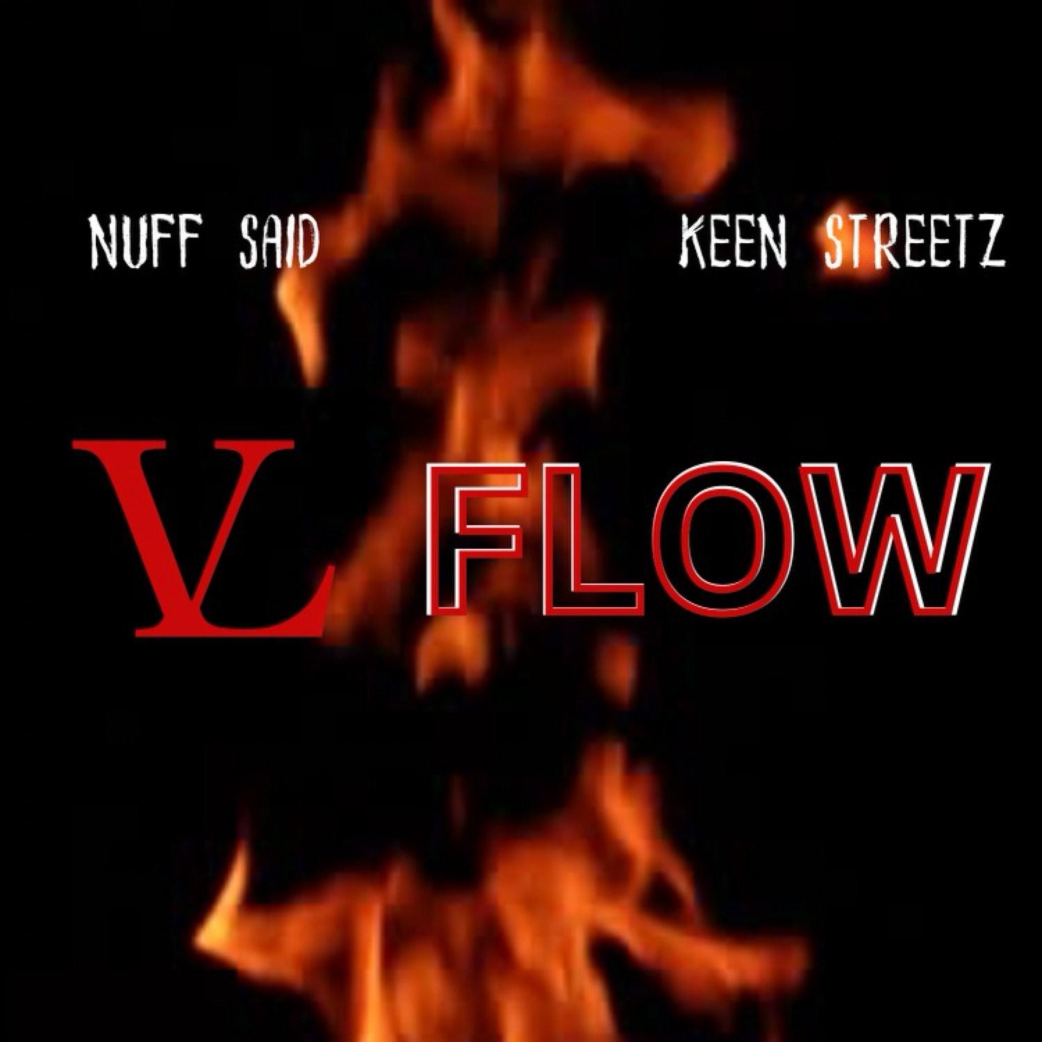 Постер альбома VL Flow