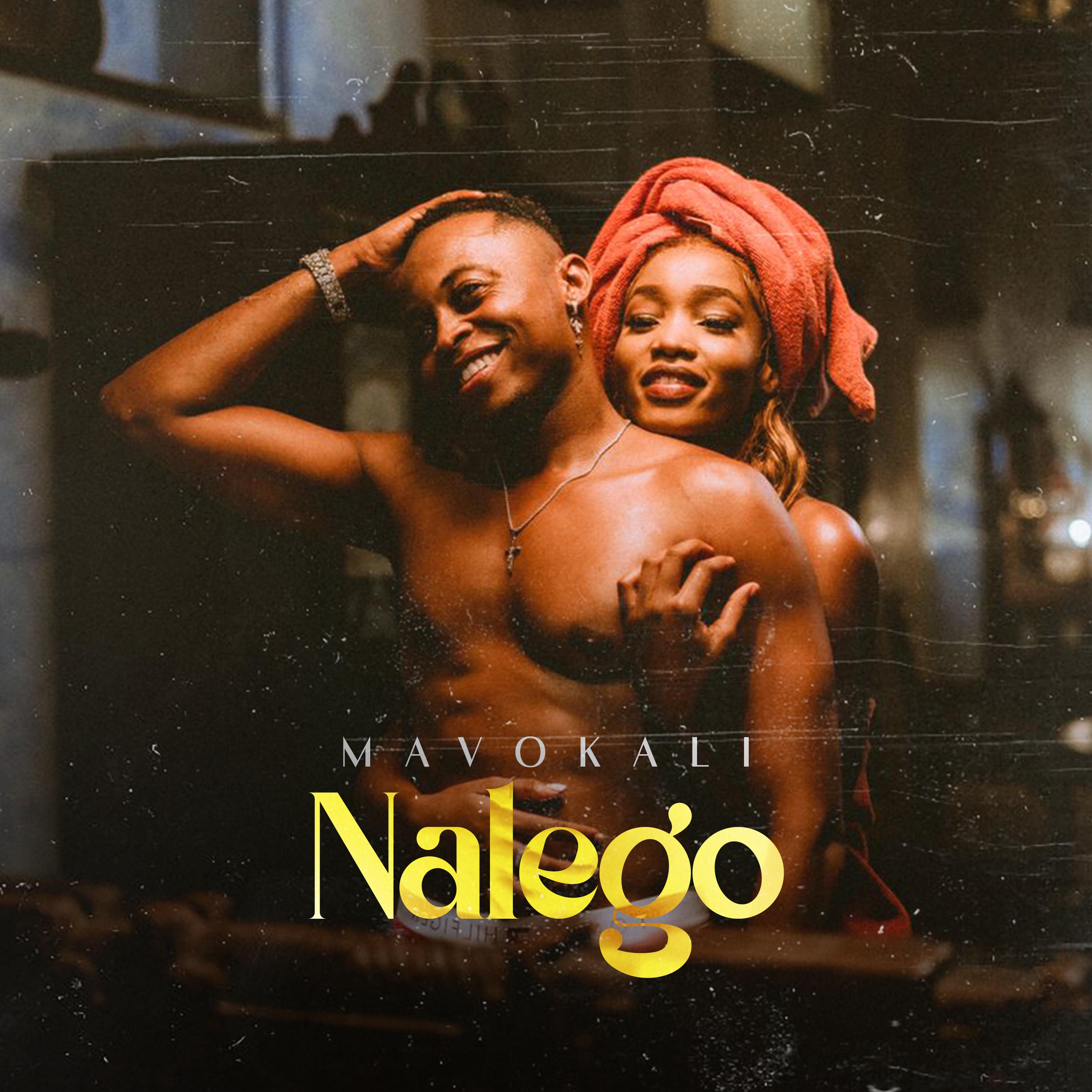Постер альбома Nalego