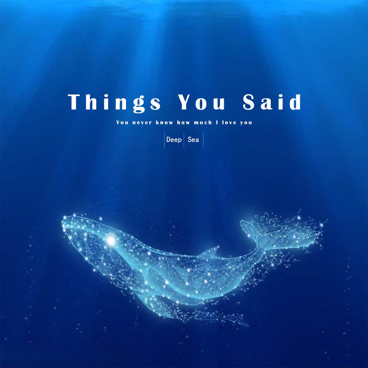 Постер альбома Things You Said