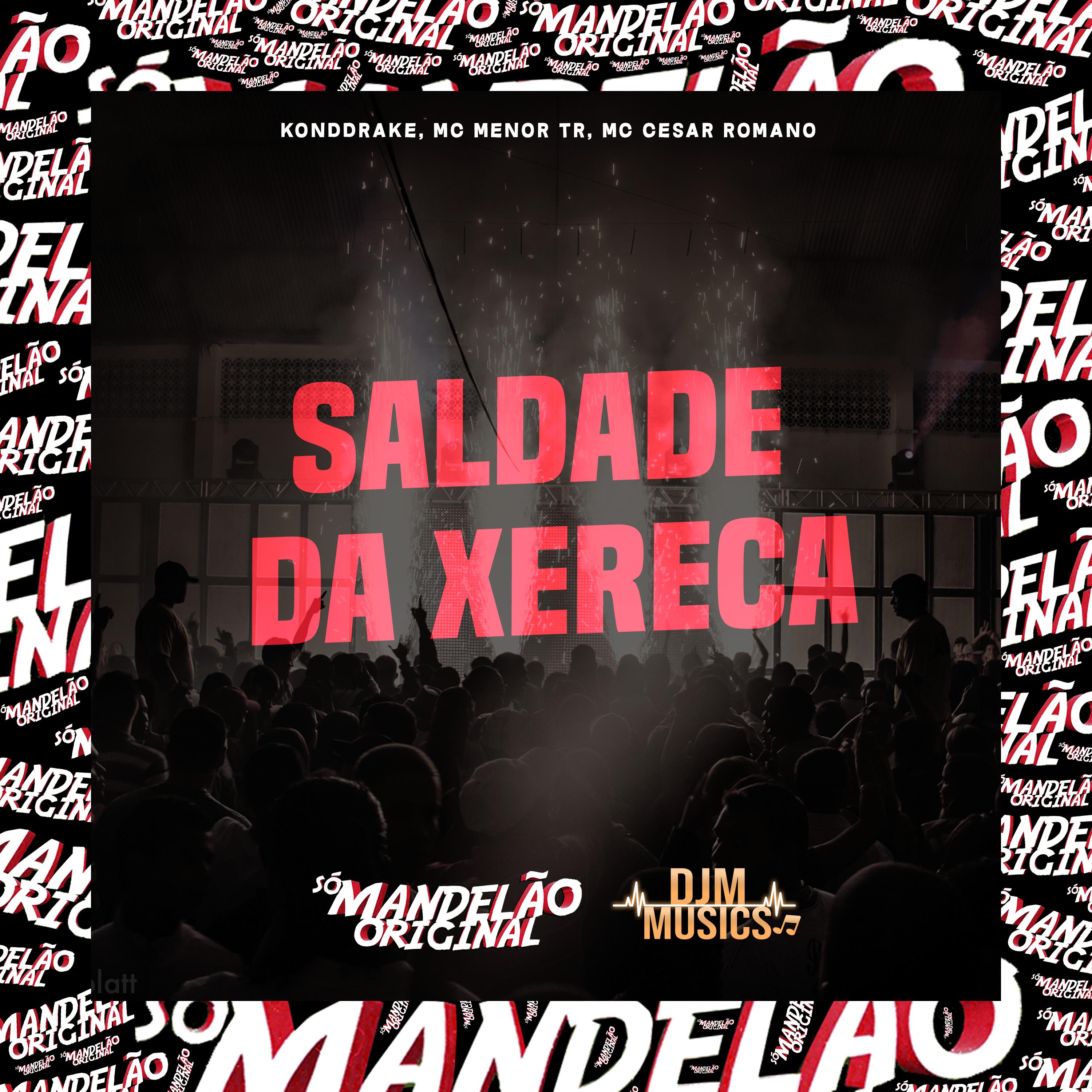 Постер альбома Saldade da Xereca