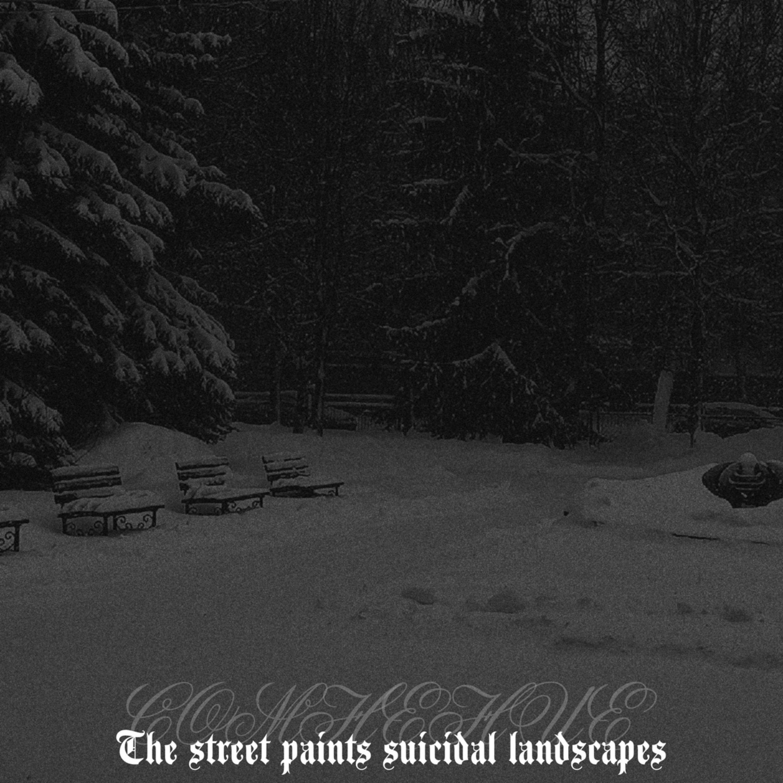Постер альбома The Street Paints Suicidal Landscapes