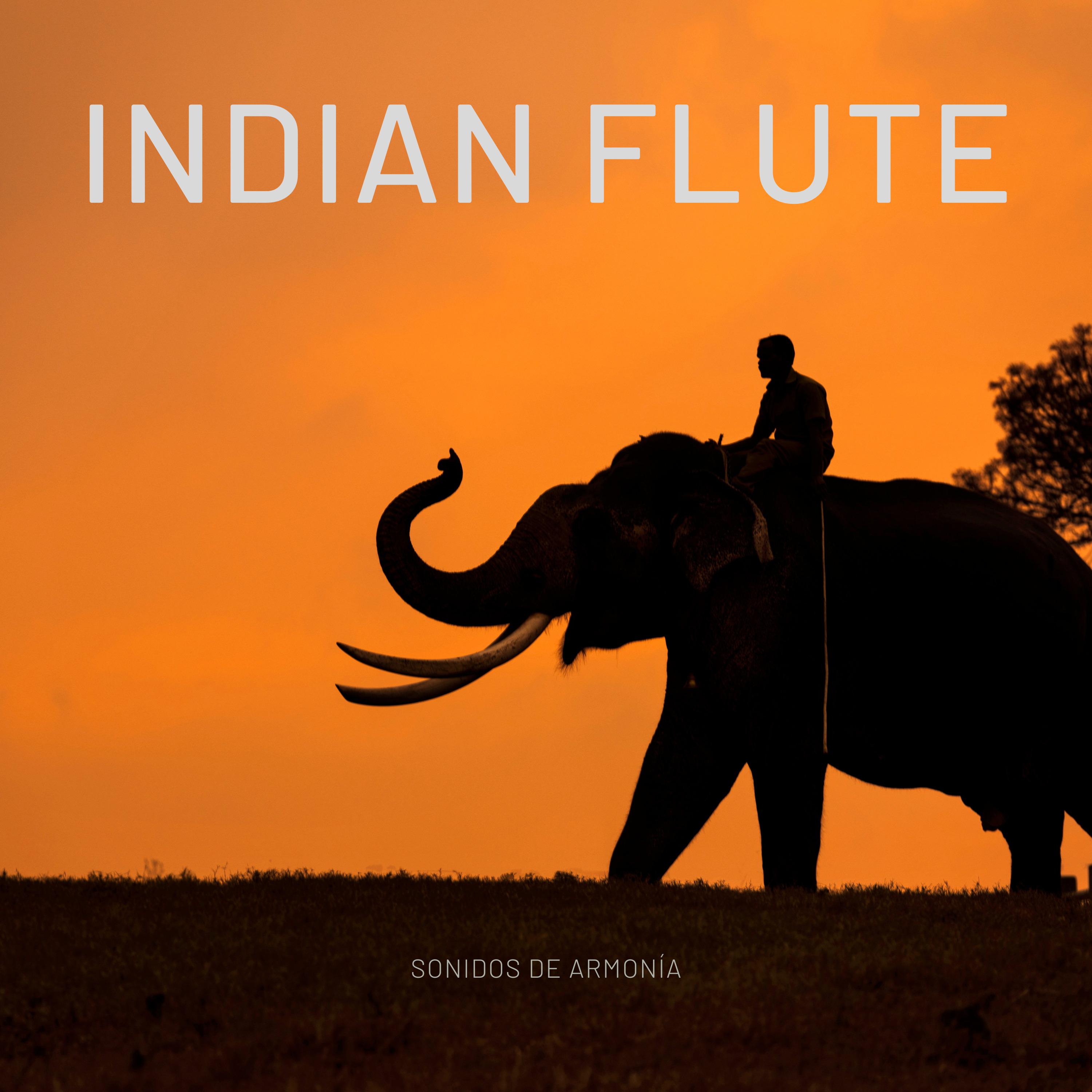 Постер альбома Indian Flute