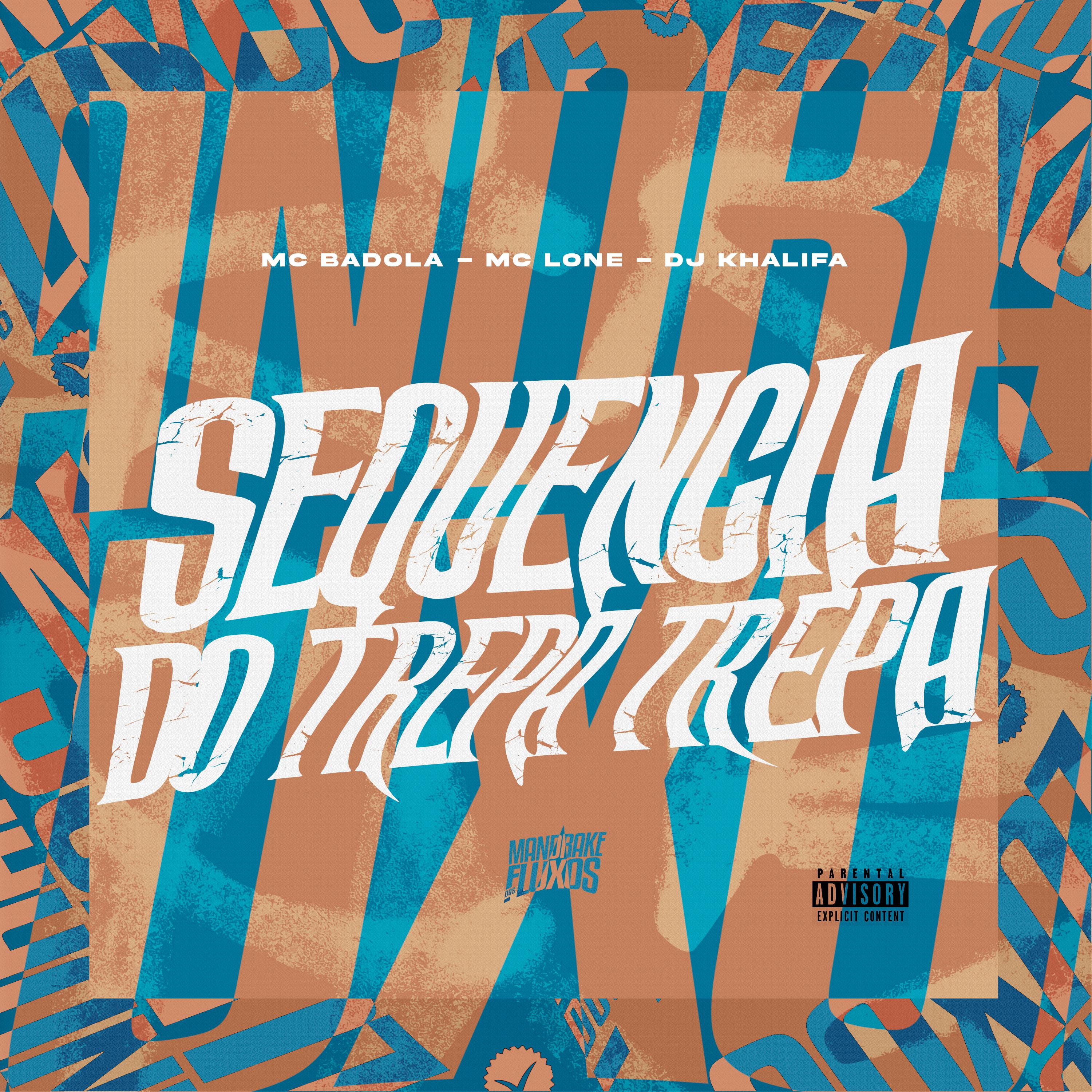 Постер альбома Sequencia do trepa trepa