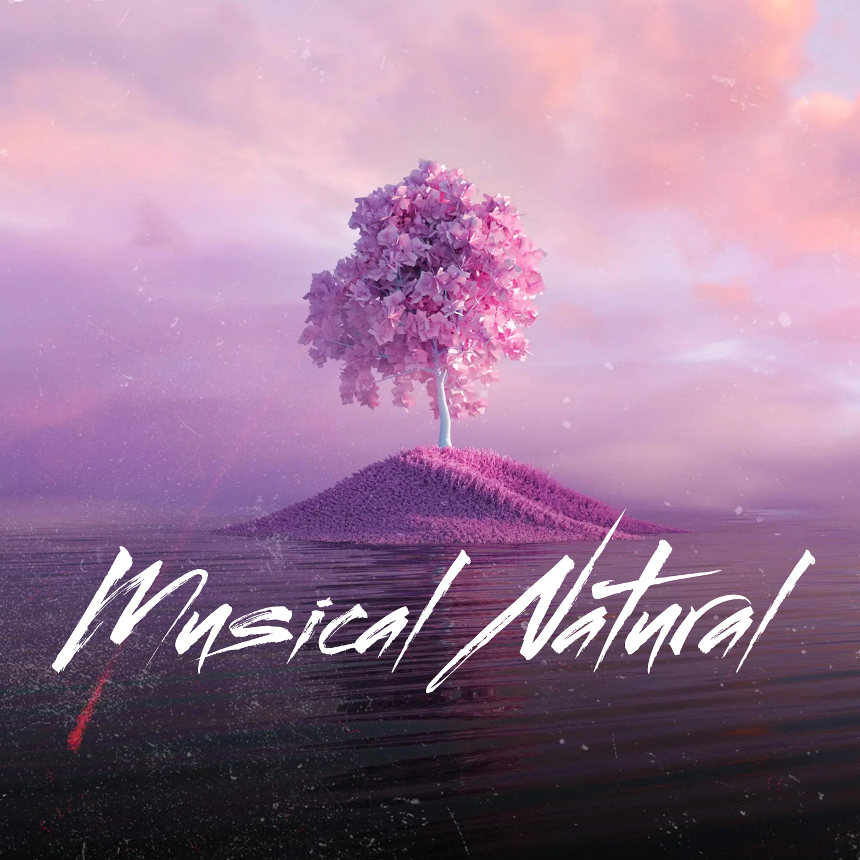 Постер альбома Musical Natural