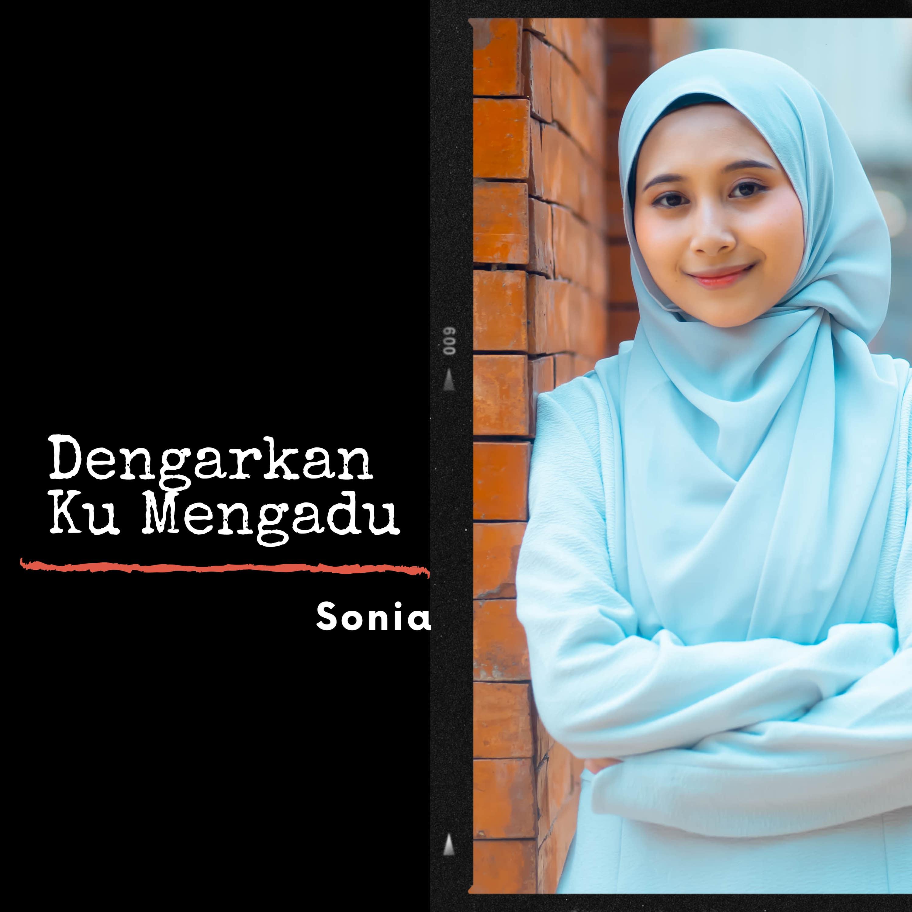 Постер альбома Dengarkan Ku Mengadu