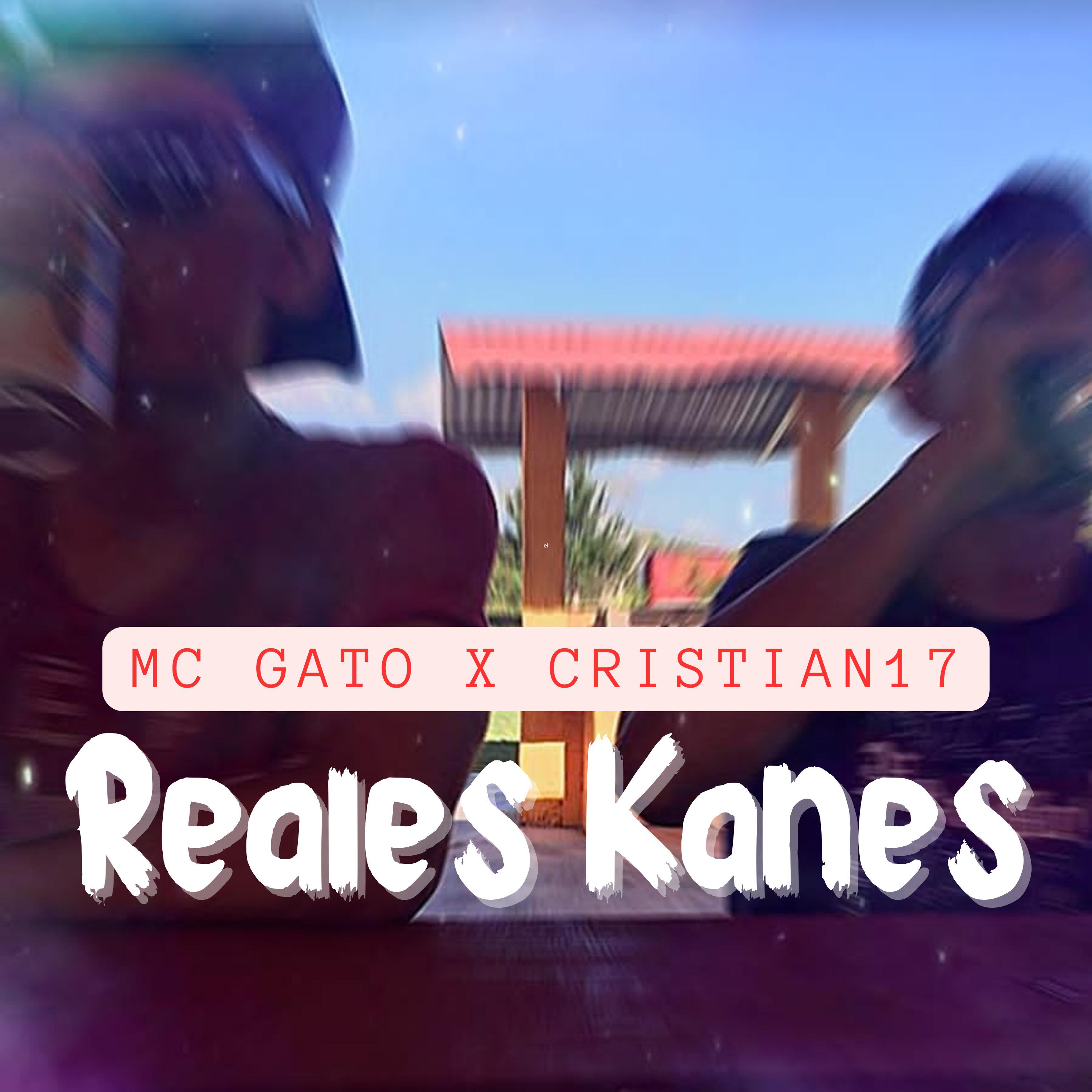 Постер альбома Reales Kanes