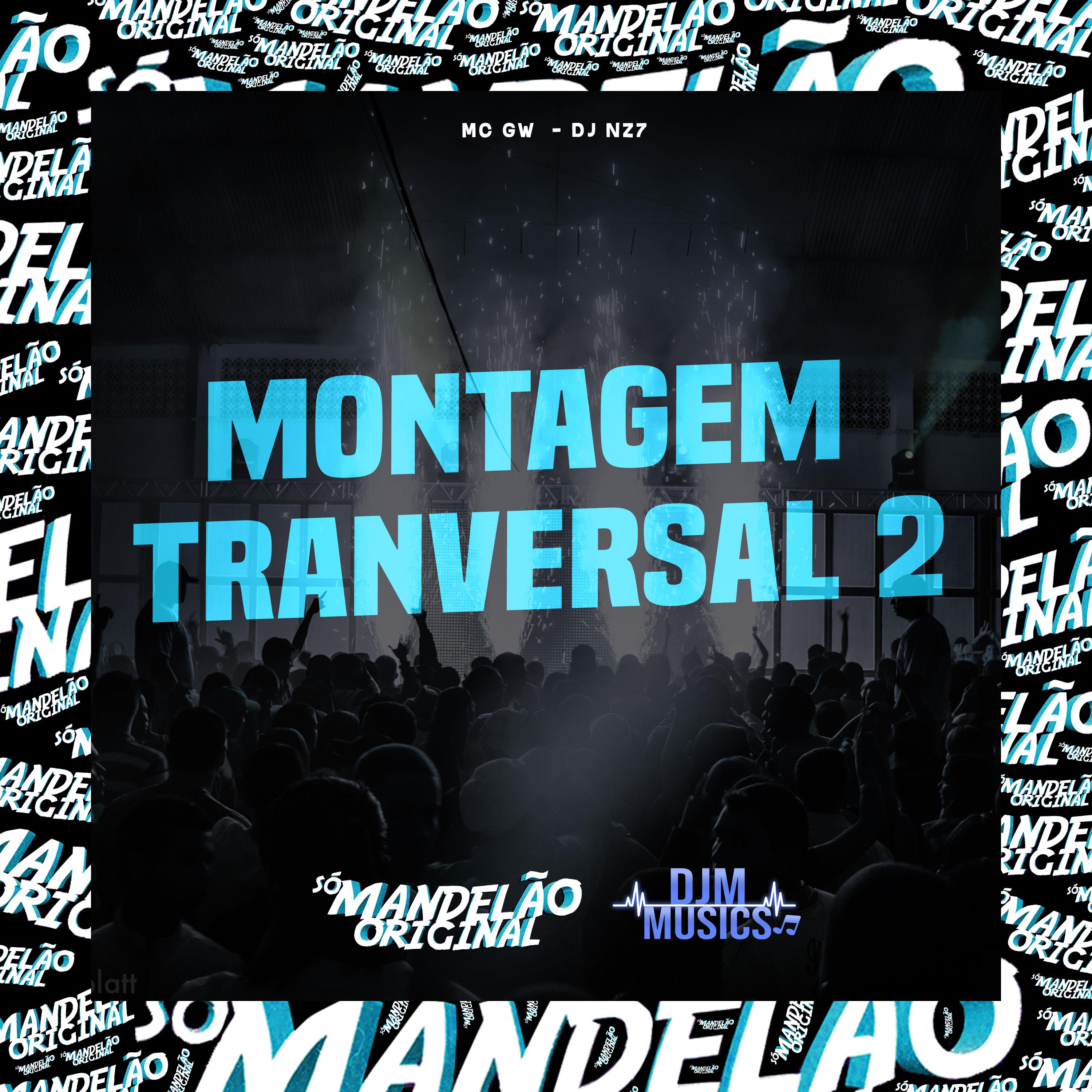 Постер альбома Montagem Tranversal 2