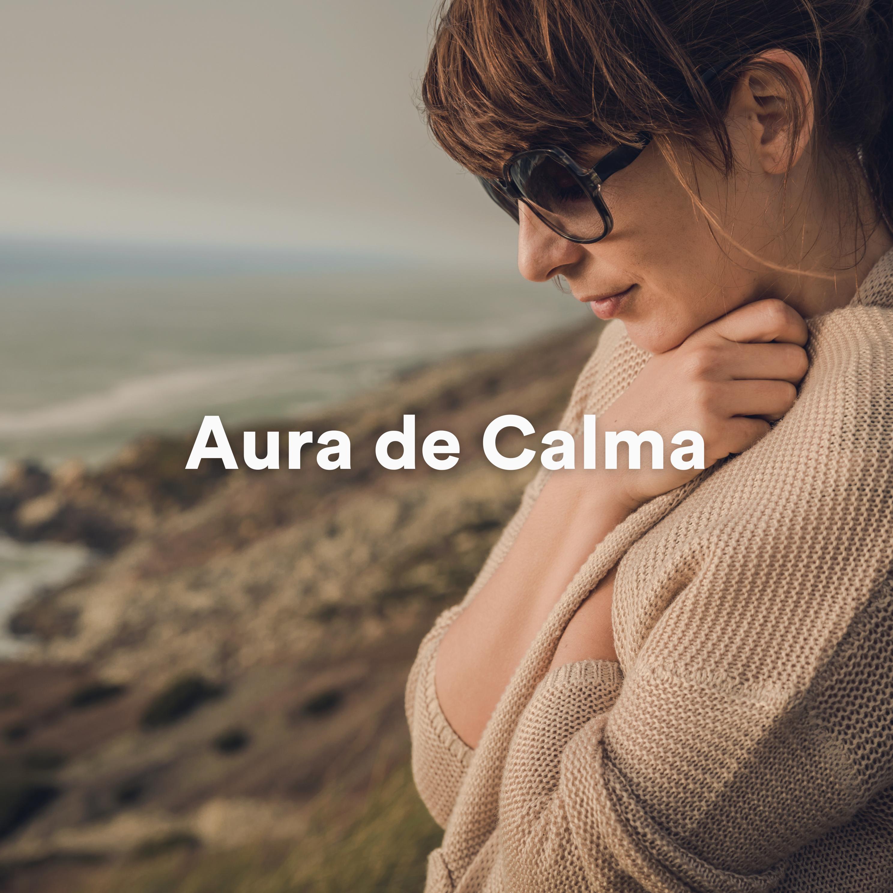 Постер альбома Aura de Calma