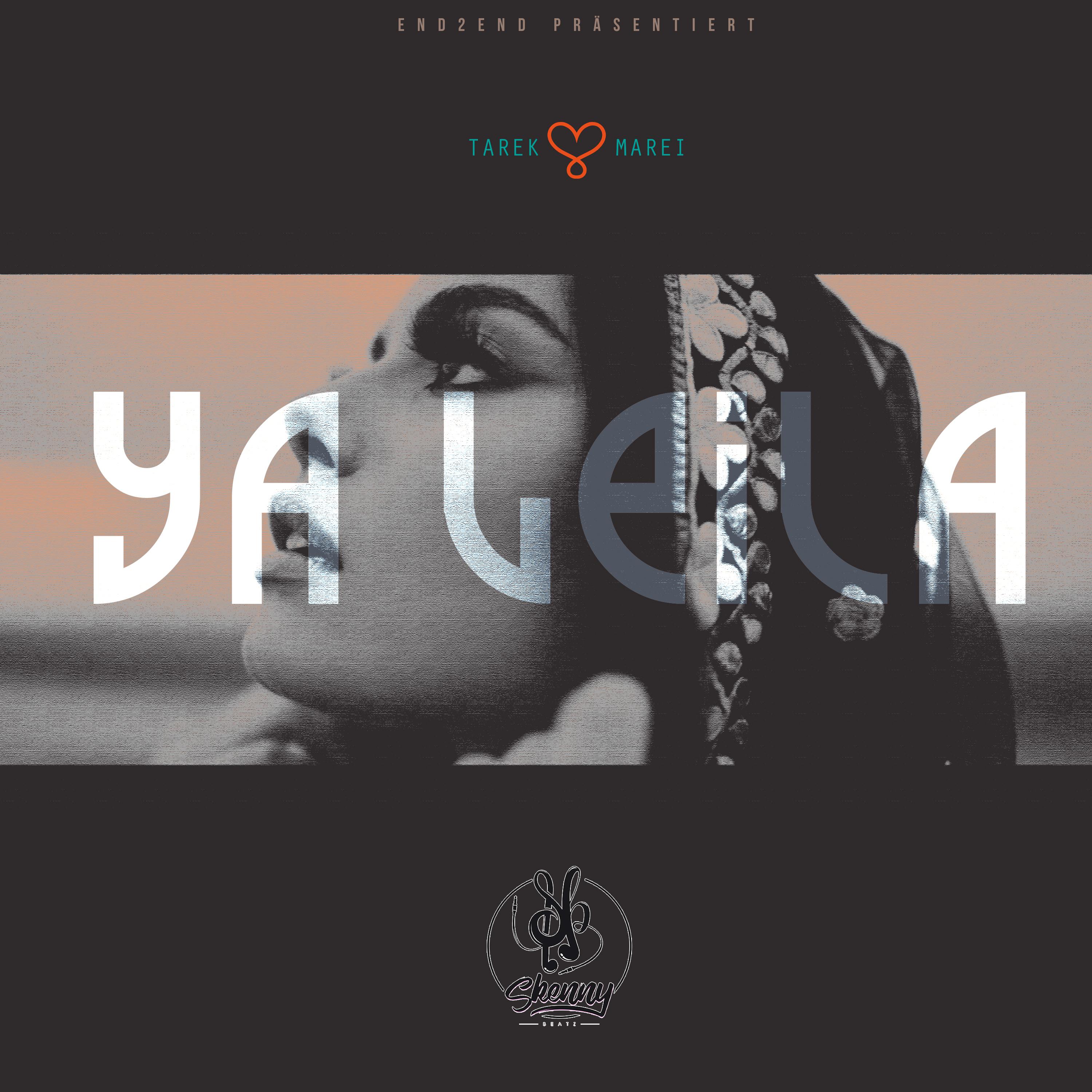Постер альбома Ya Leila
