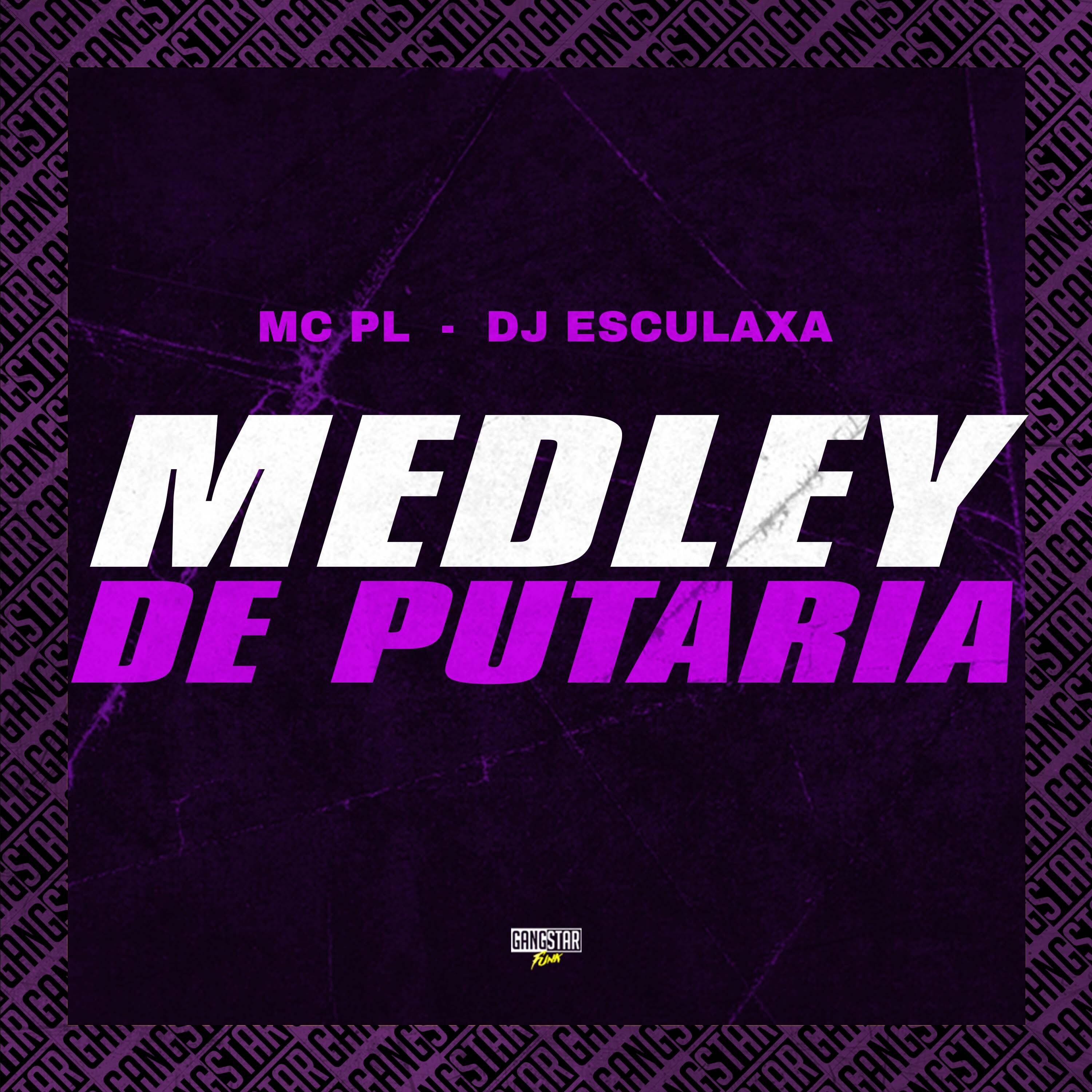 Постер альбома Medley de Putaria