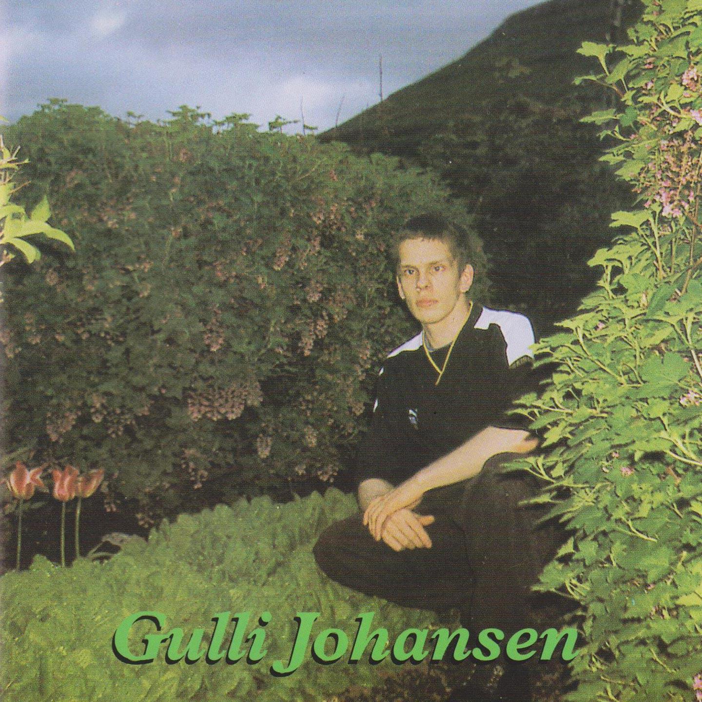 Постер альбома Gulli Johansen