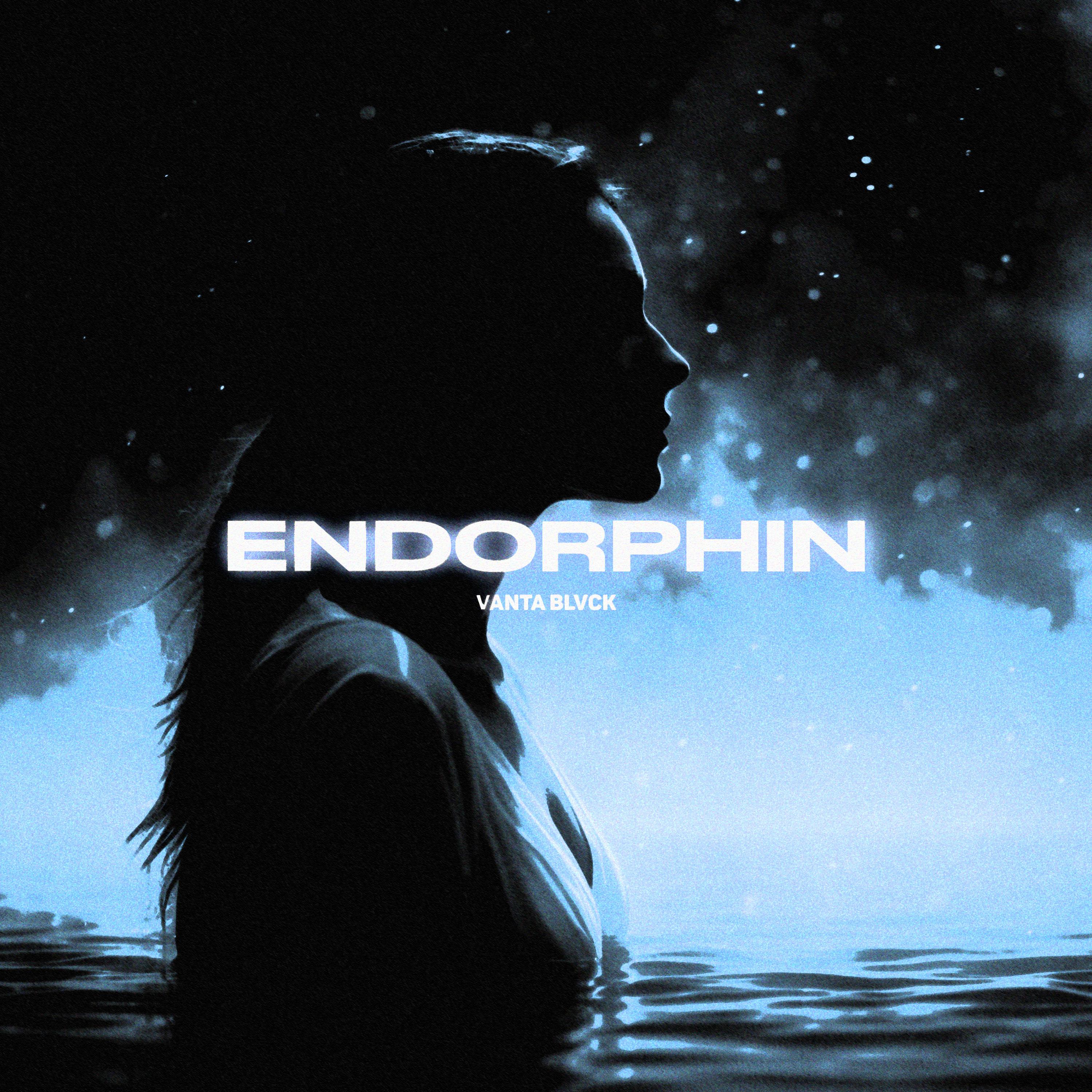 Постер альбома ENDORPHIN