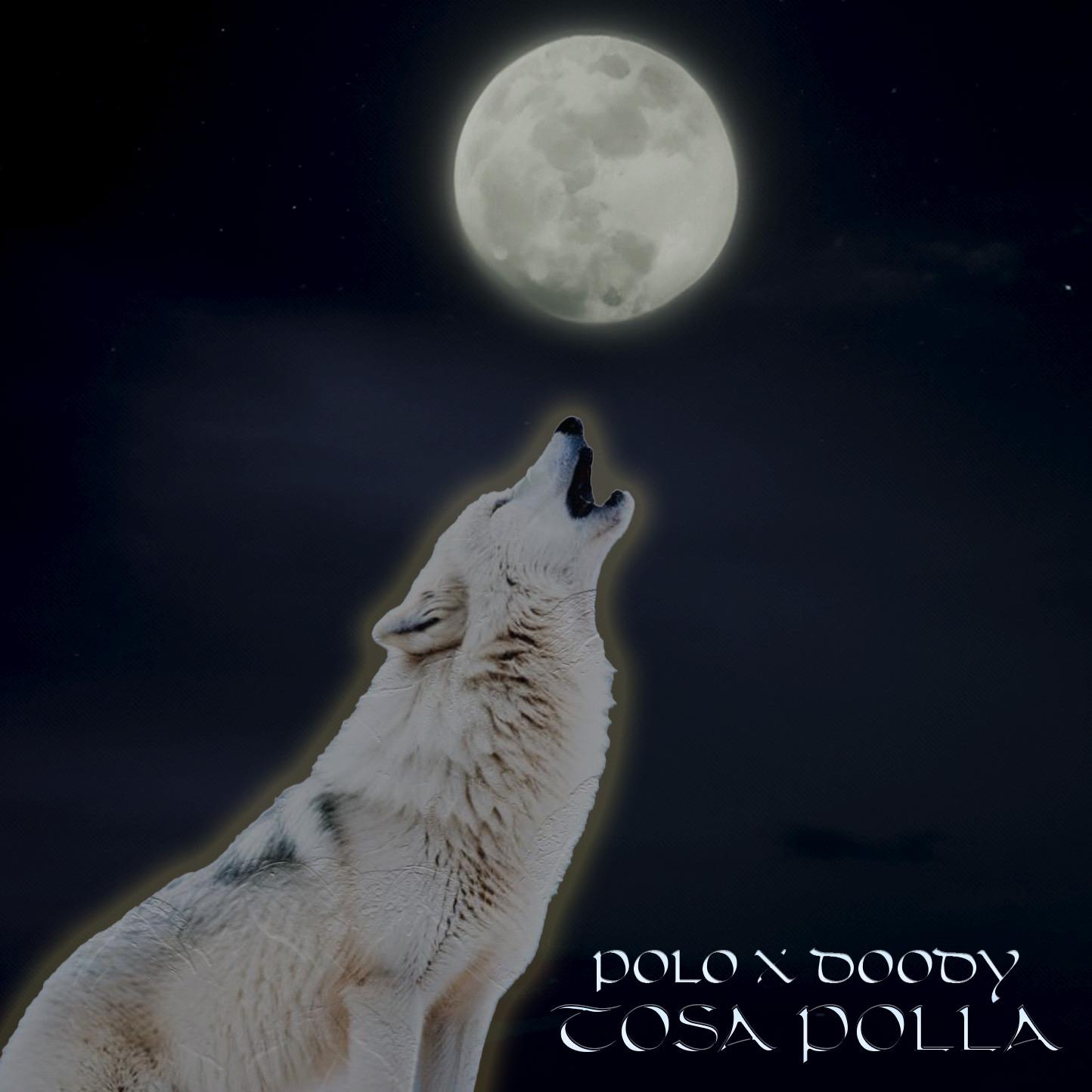 Постер альбома Tosa Polla