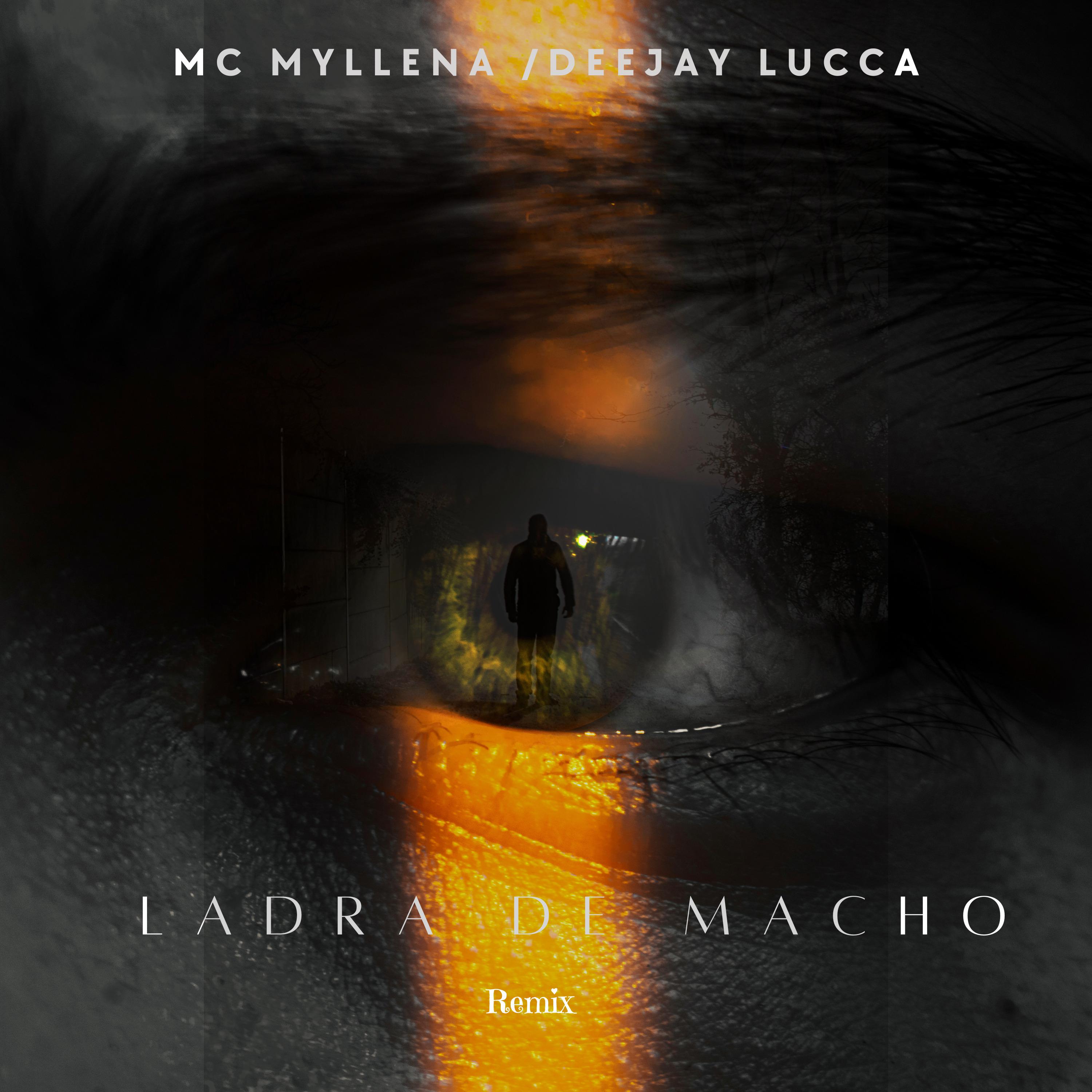Постер альбома Ladra de Macho