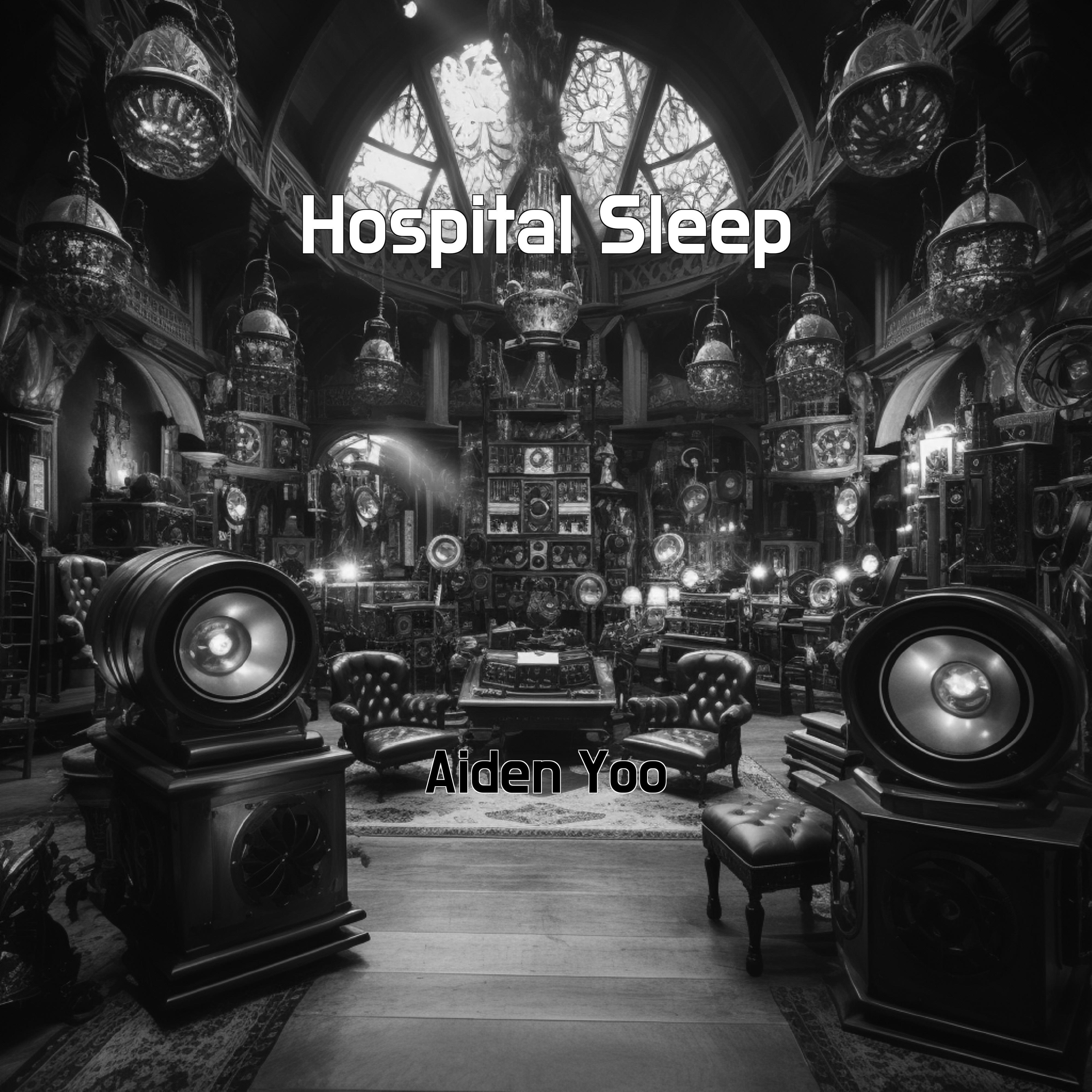 Постер альбома Hospital Sleep