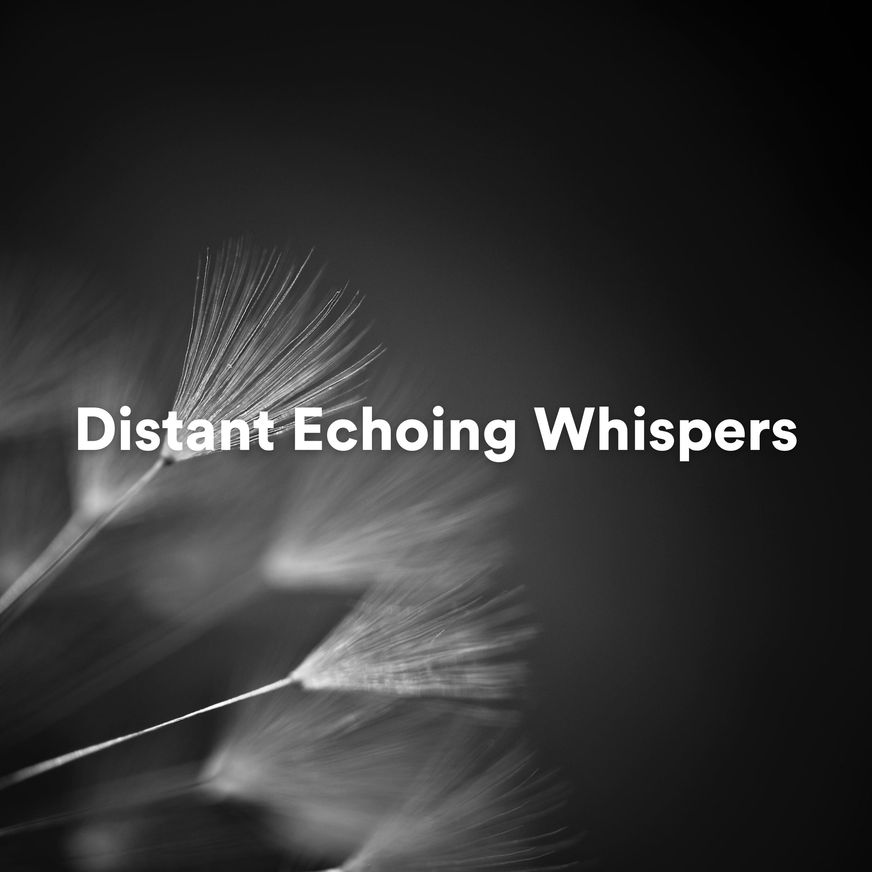 Постер альбома Distant Echoing Whispers