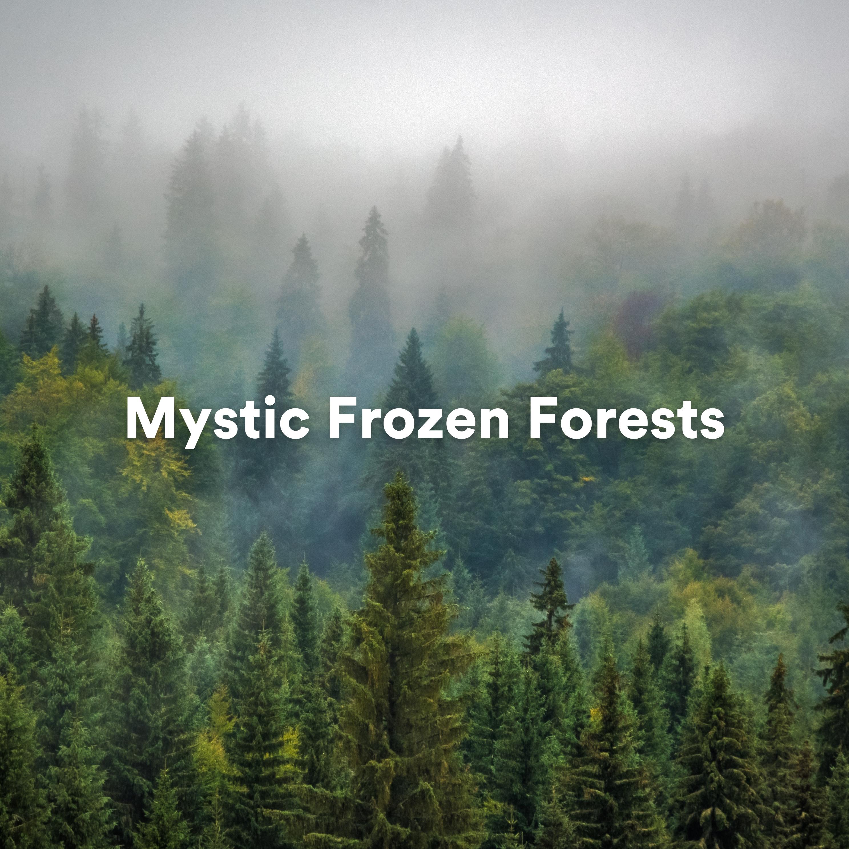 Постер альбома Mystic Frozen Forests