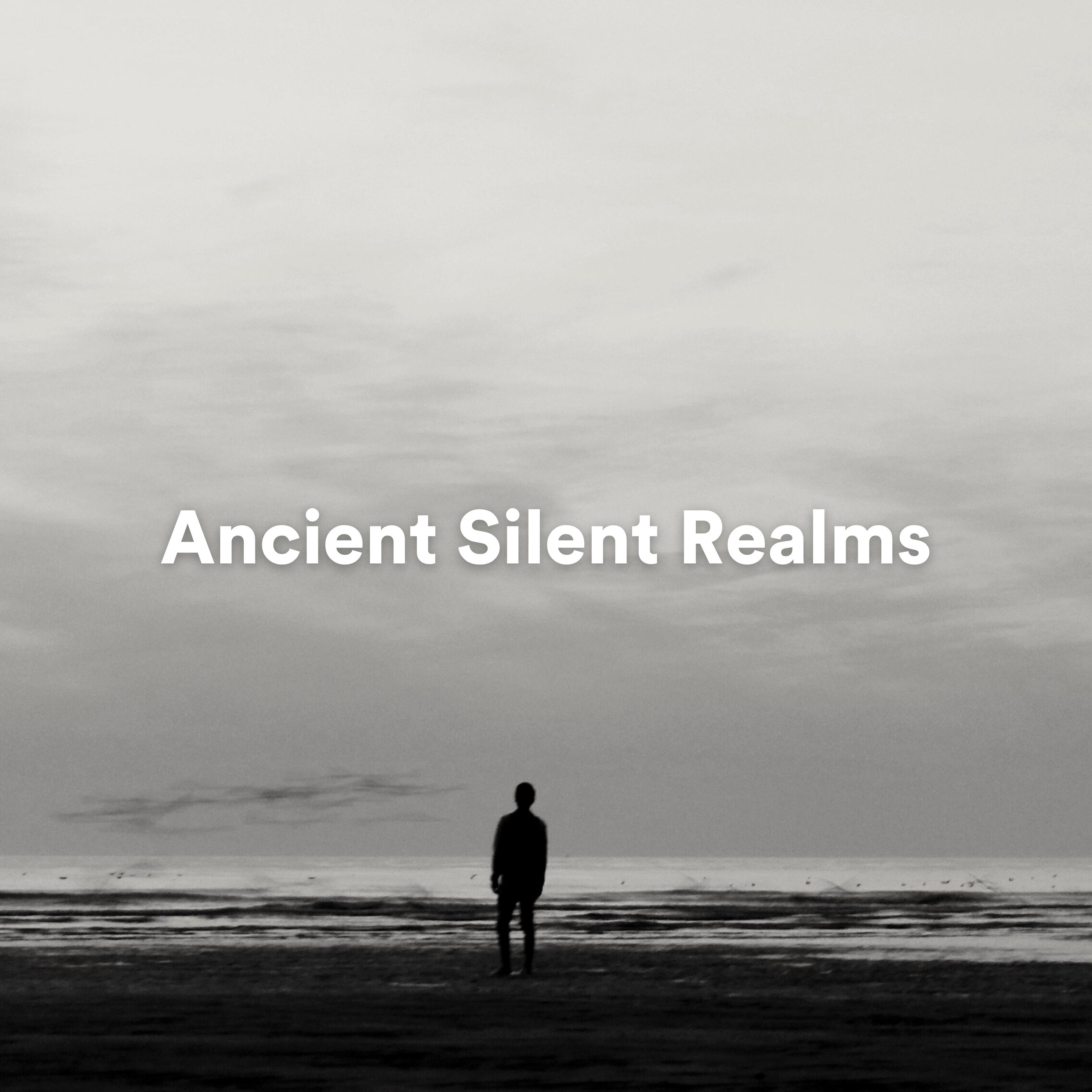 Постер альбома Ancient Silent Realms