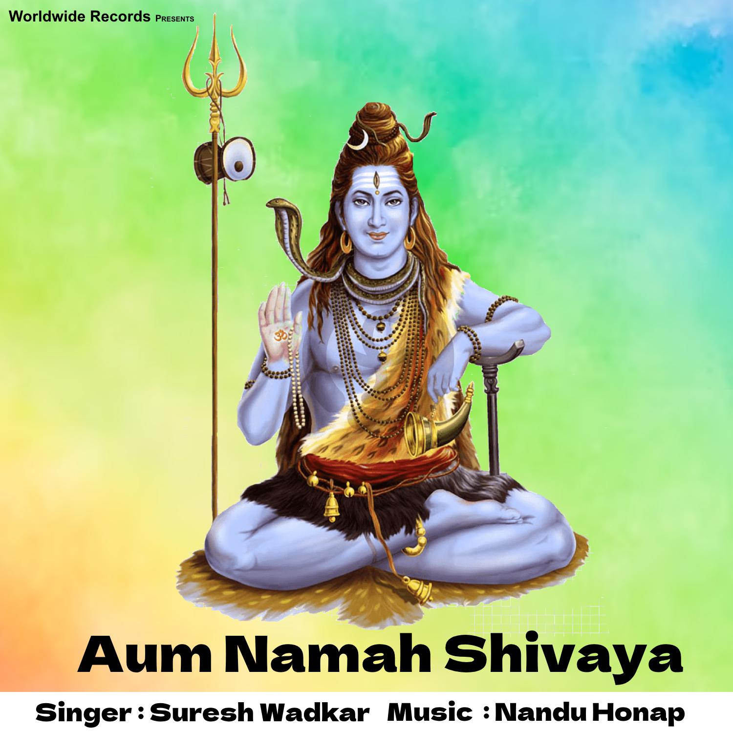 Постер альбома Aum Namah Shivaya