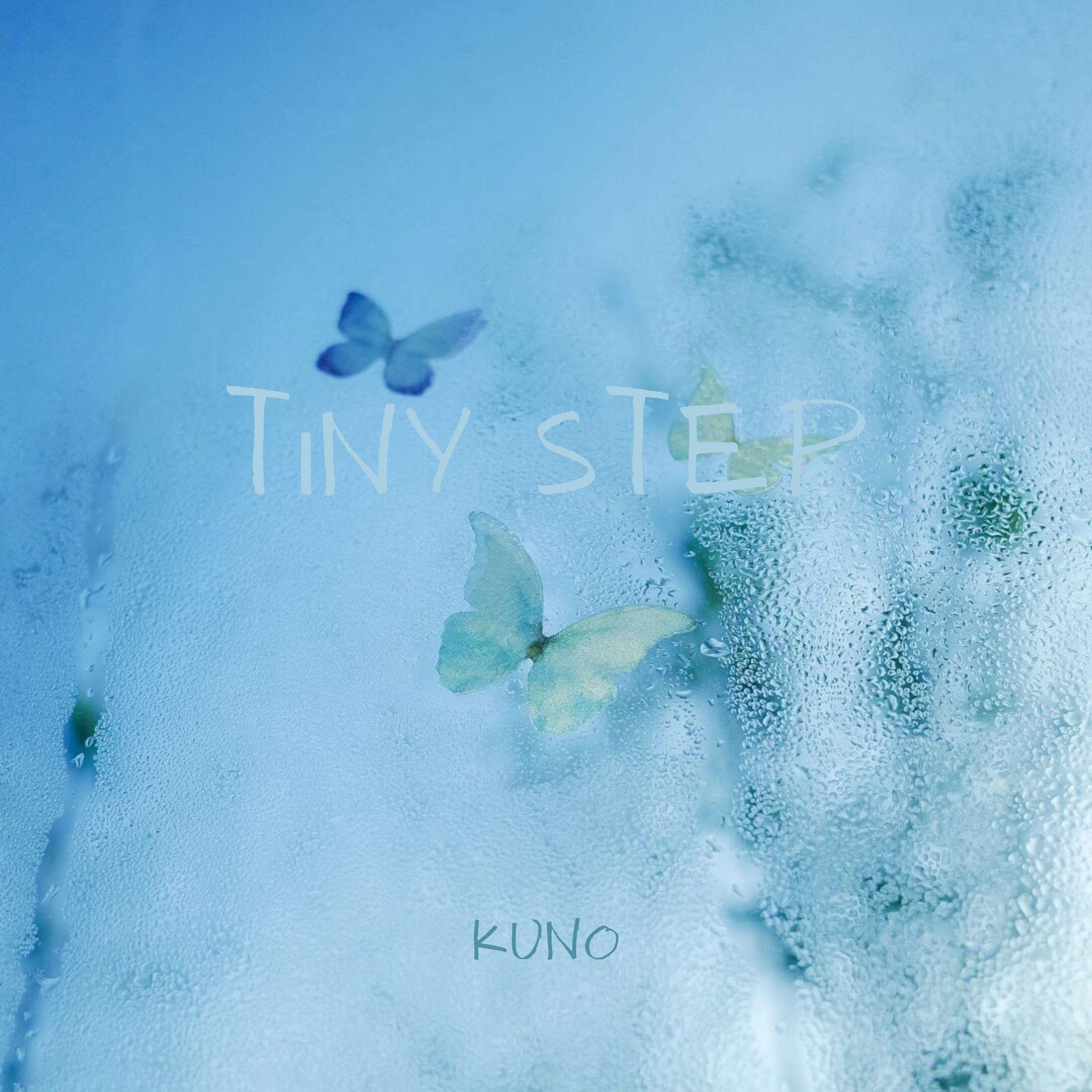 Постер альбома Tiny Step
