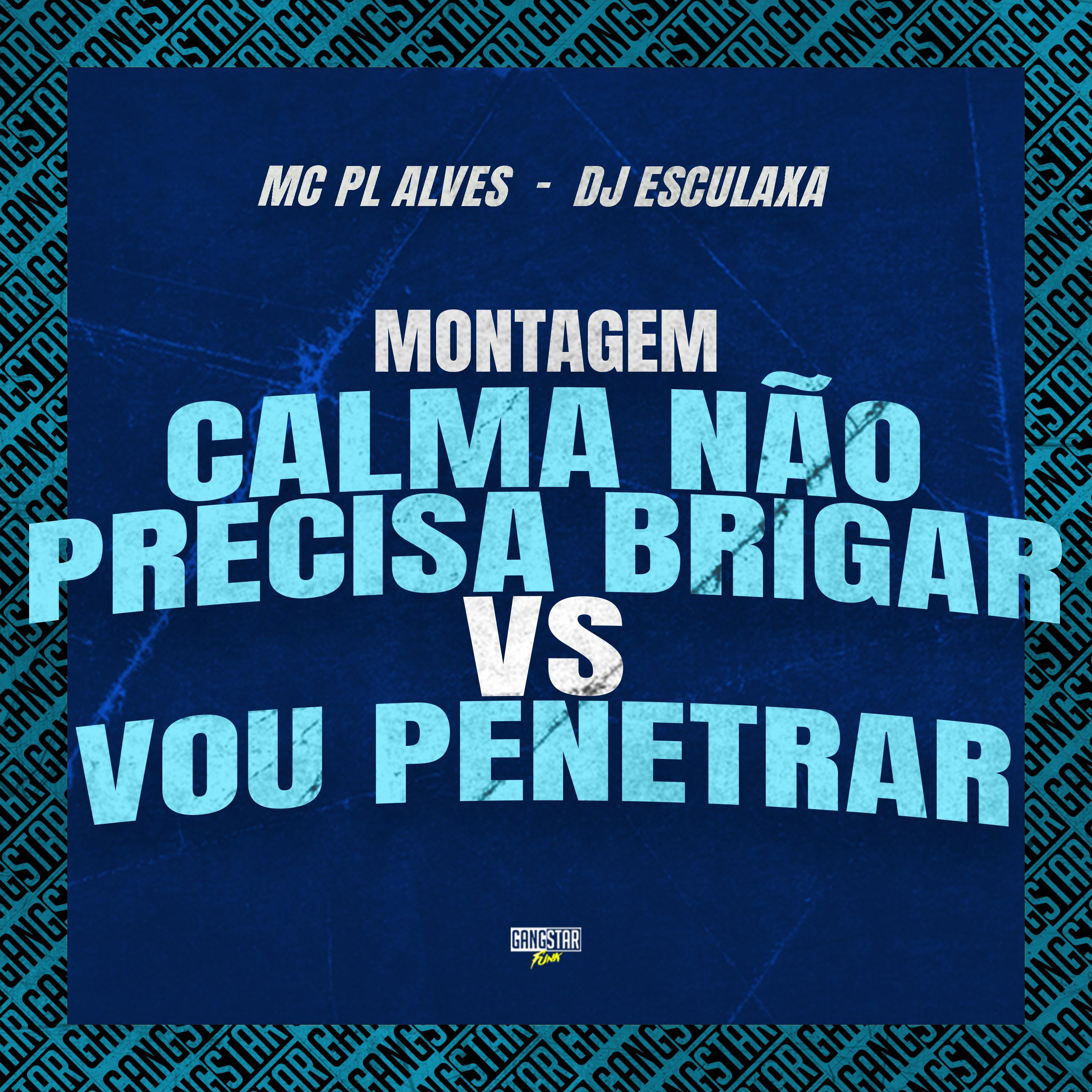 Постер альбома Montagem Calma Não Precisa Brigar Vs Vou Penetrar