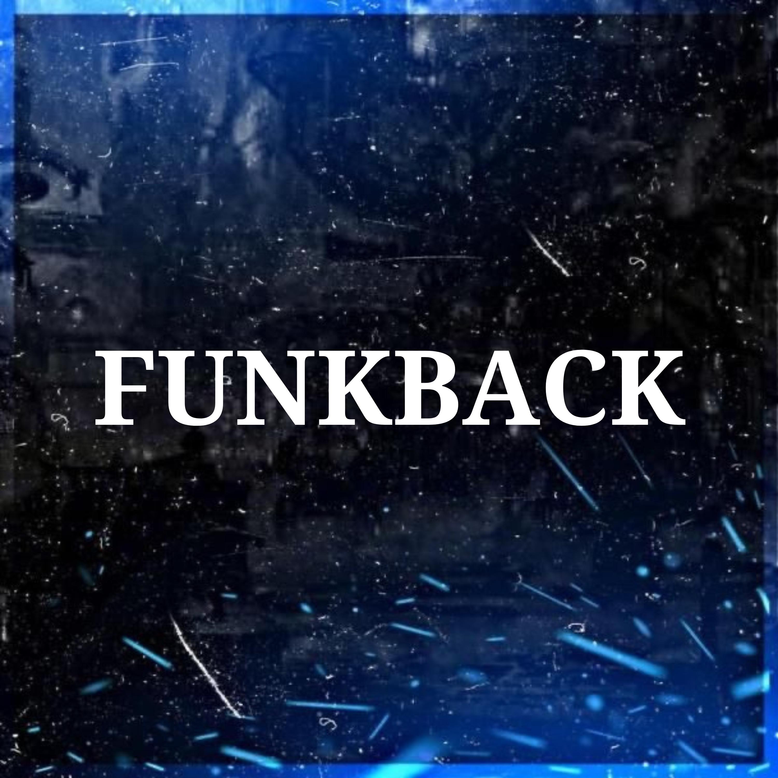 Постер альбома Funkback