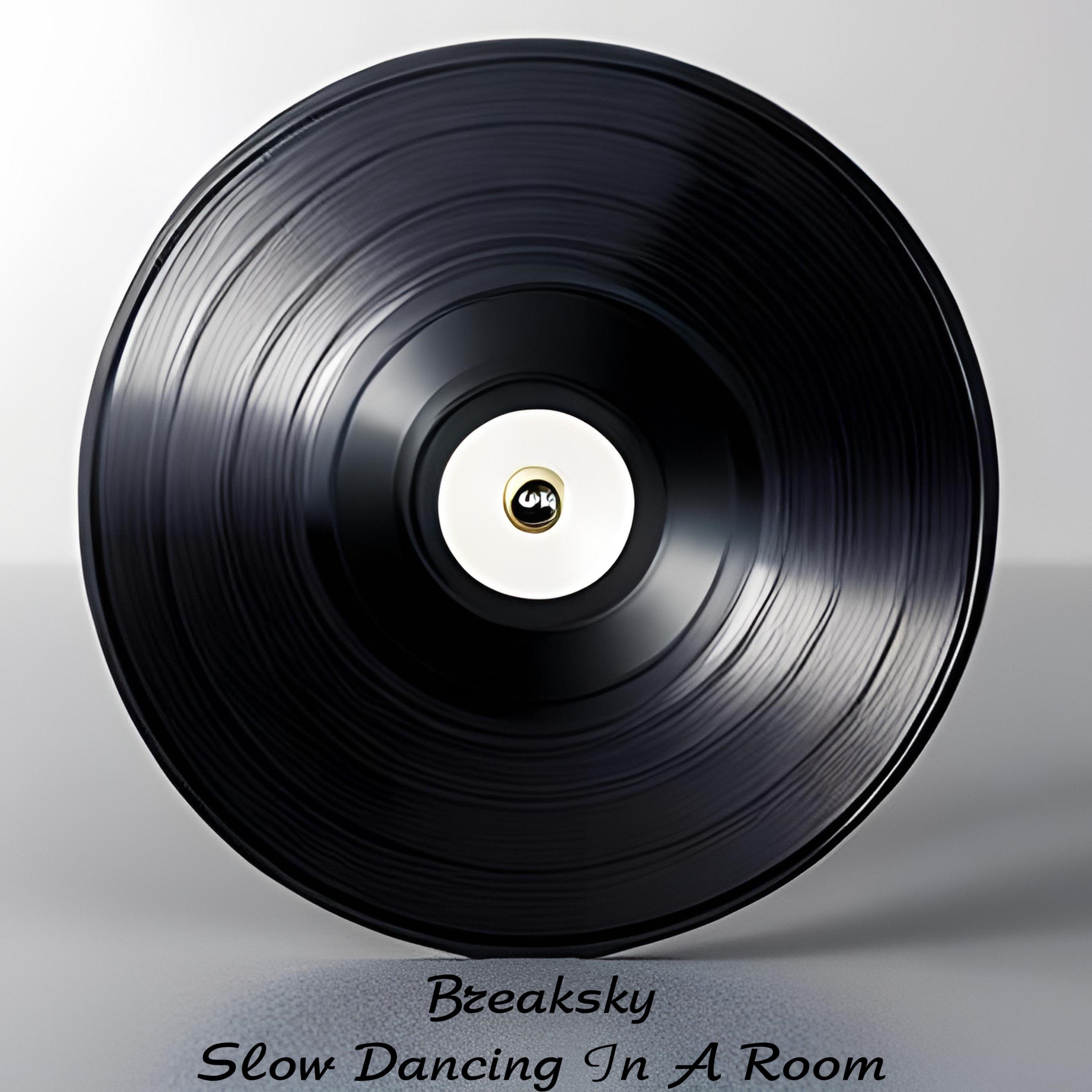 Постер альбома Slow Dancing In A Room
