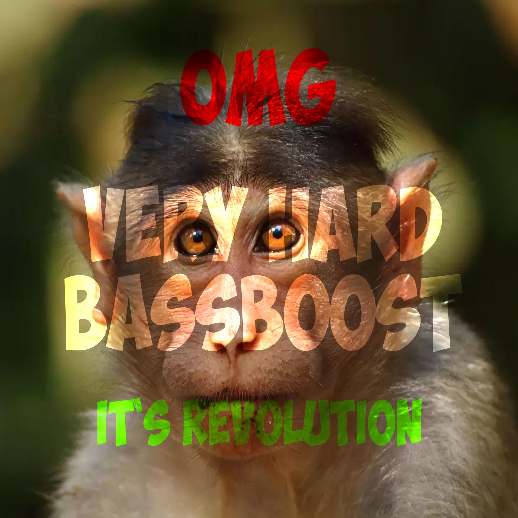 Постер альбома Omg Very Hard Bassboost it`s Revolution