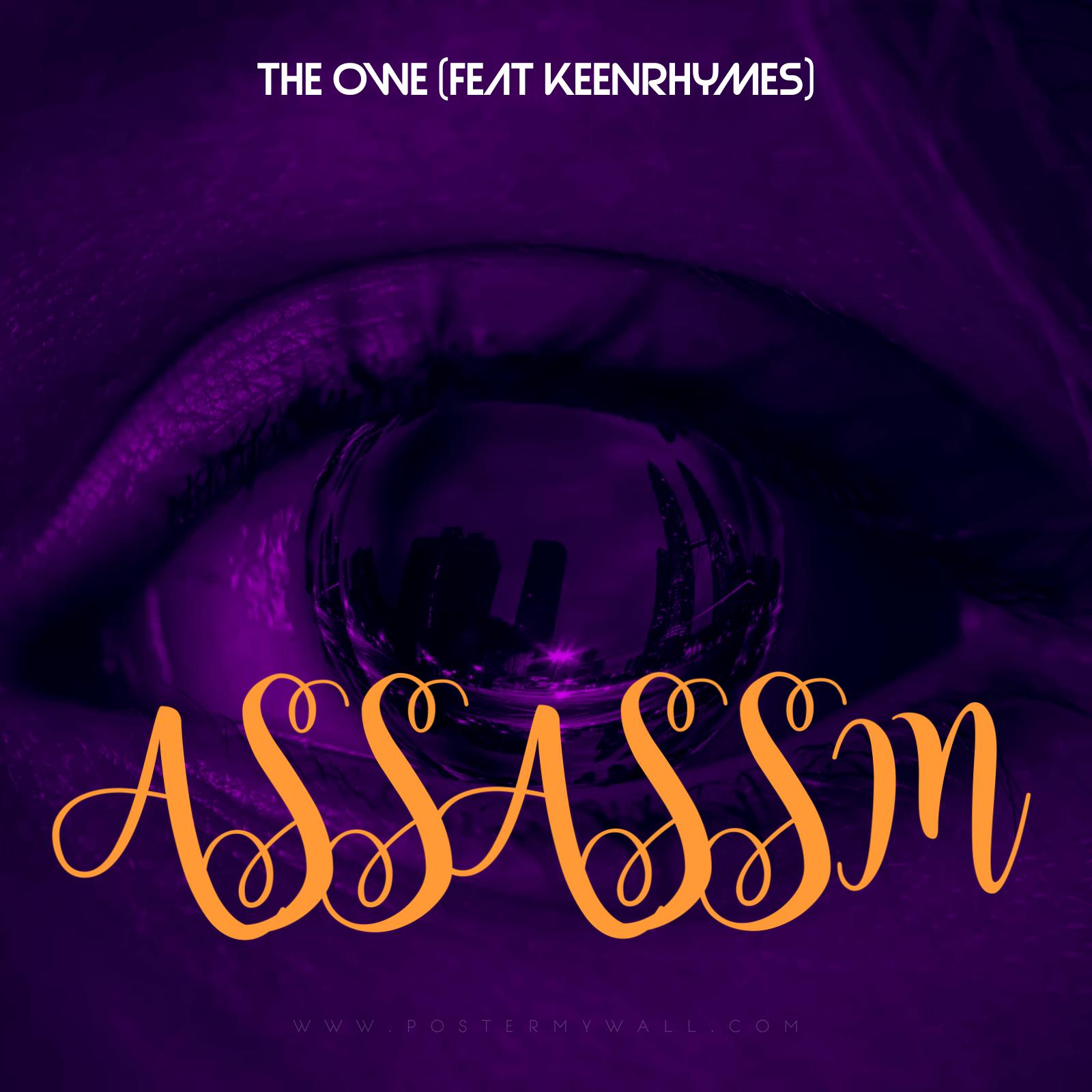 Постер альбома Assassins (feat. Keenrhymes)