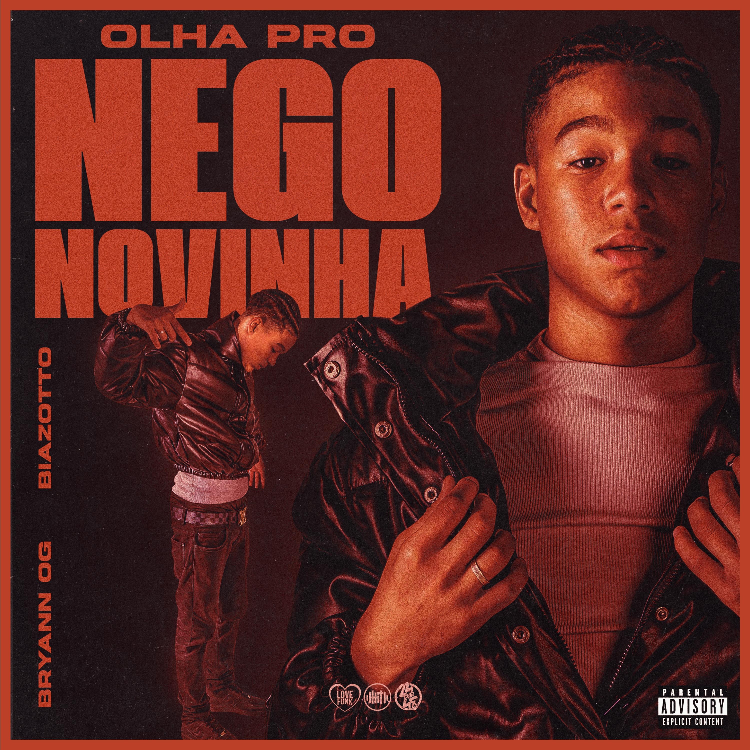 Постер альбома Olha pro Nego Novinha