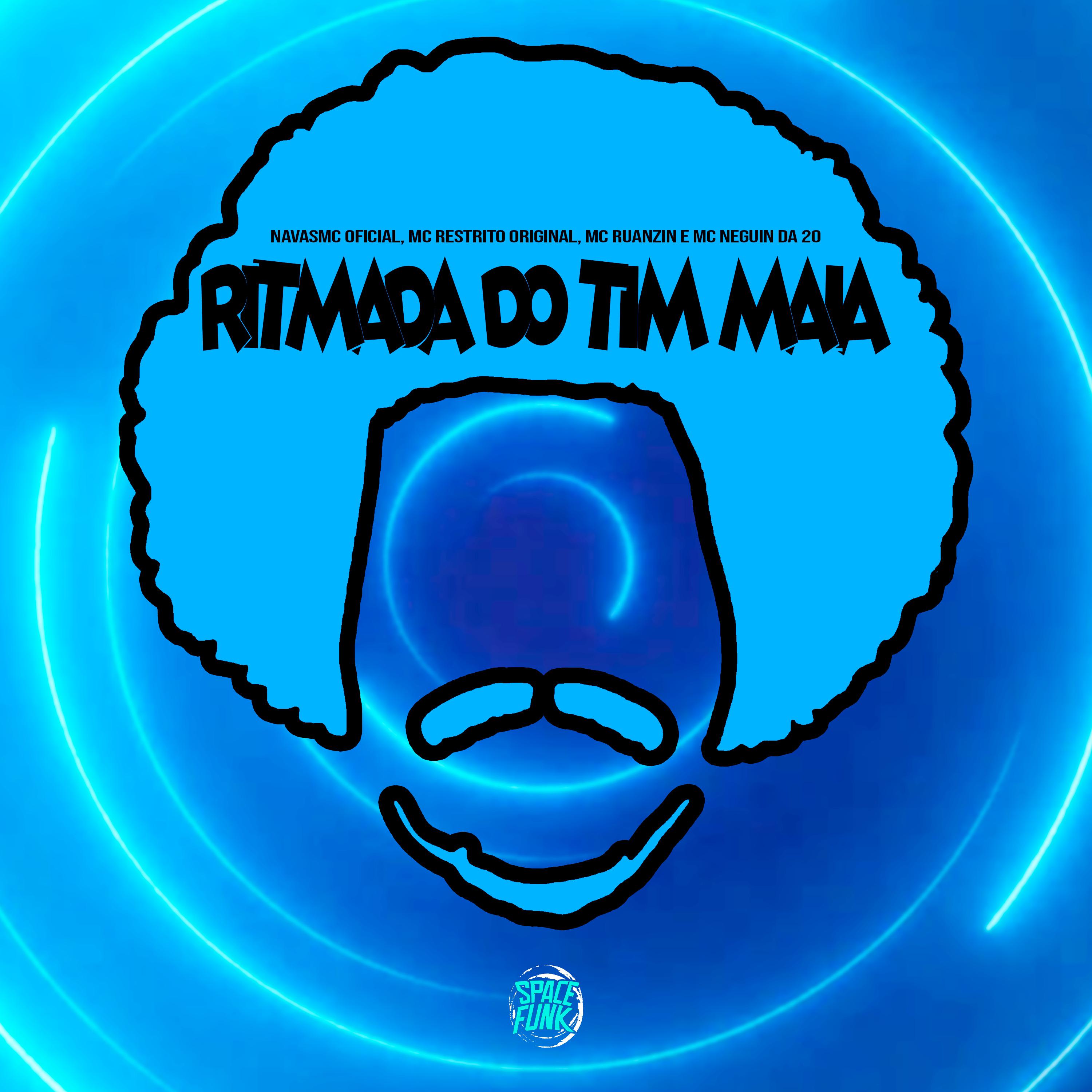Постер альбома Ritmada do Tim Maia