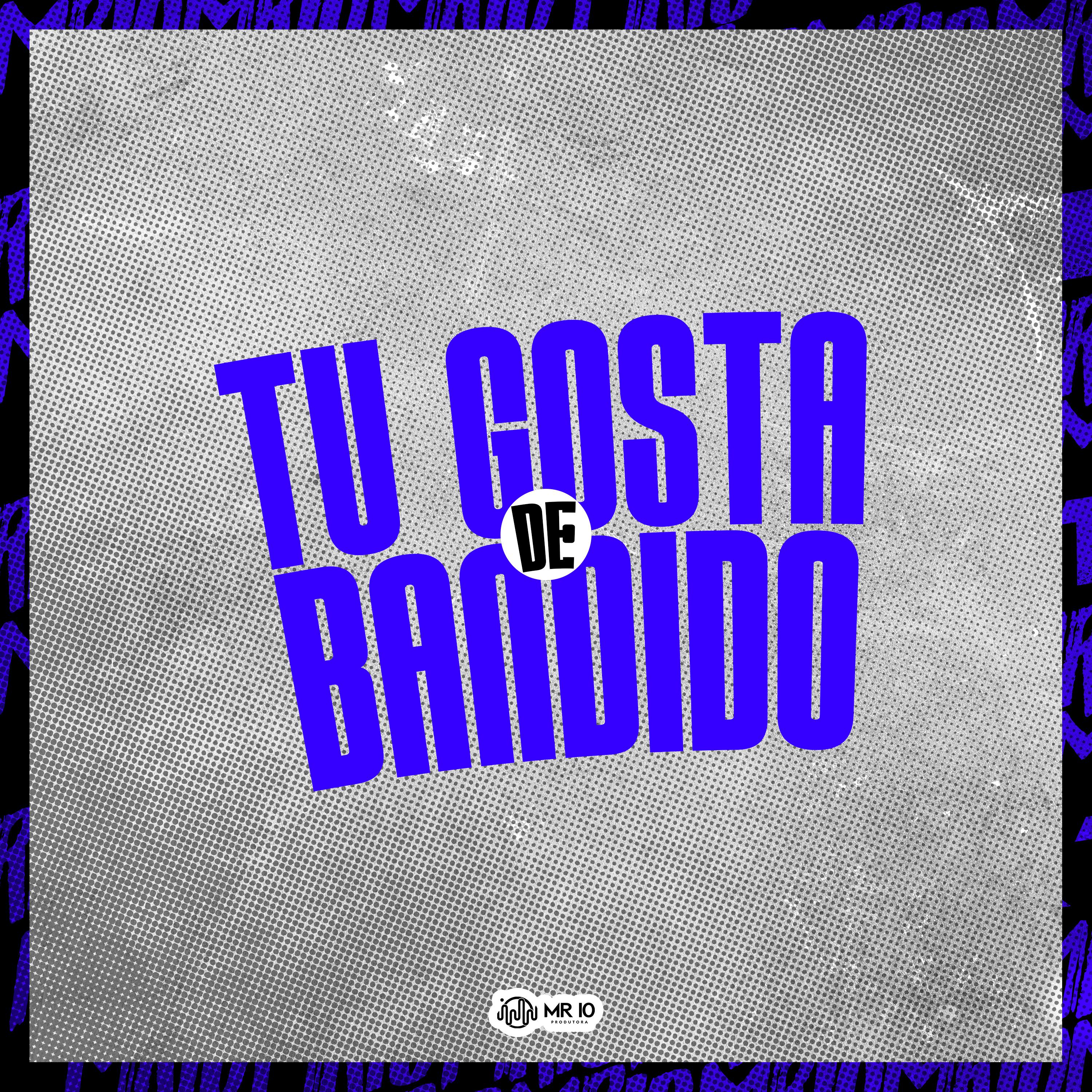 Постер альбома Tu Gosta de Bandido