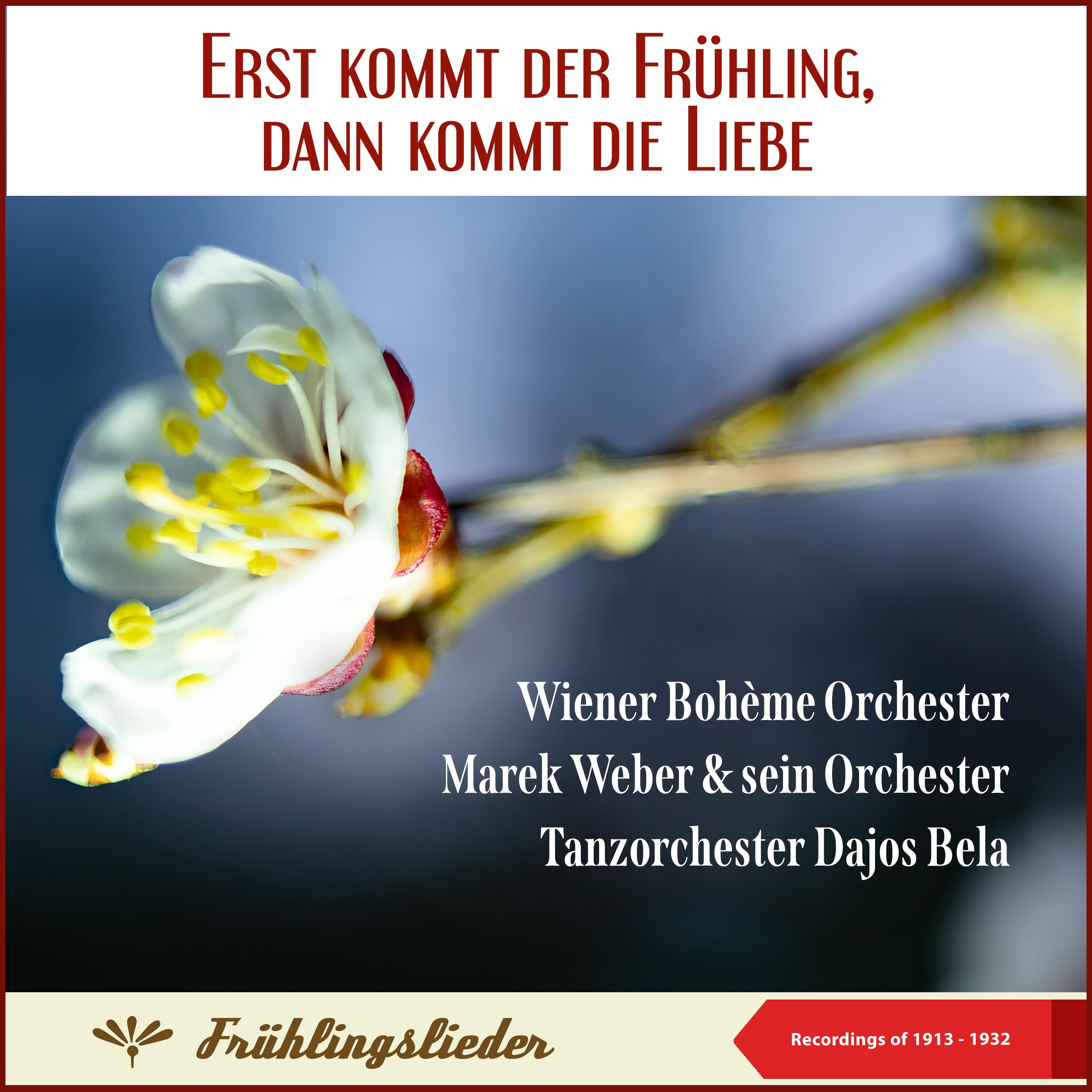 Постер альбома Erst kommt der Frühling, dann kommt die Liebe (Wiener Bohème Orchester - Marek Weber & sein Orchester - Tanzorchester Dajos Bela)