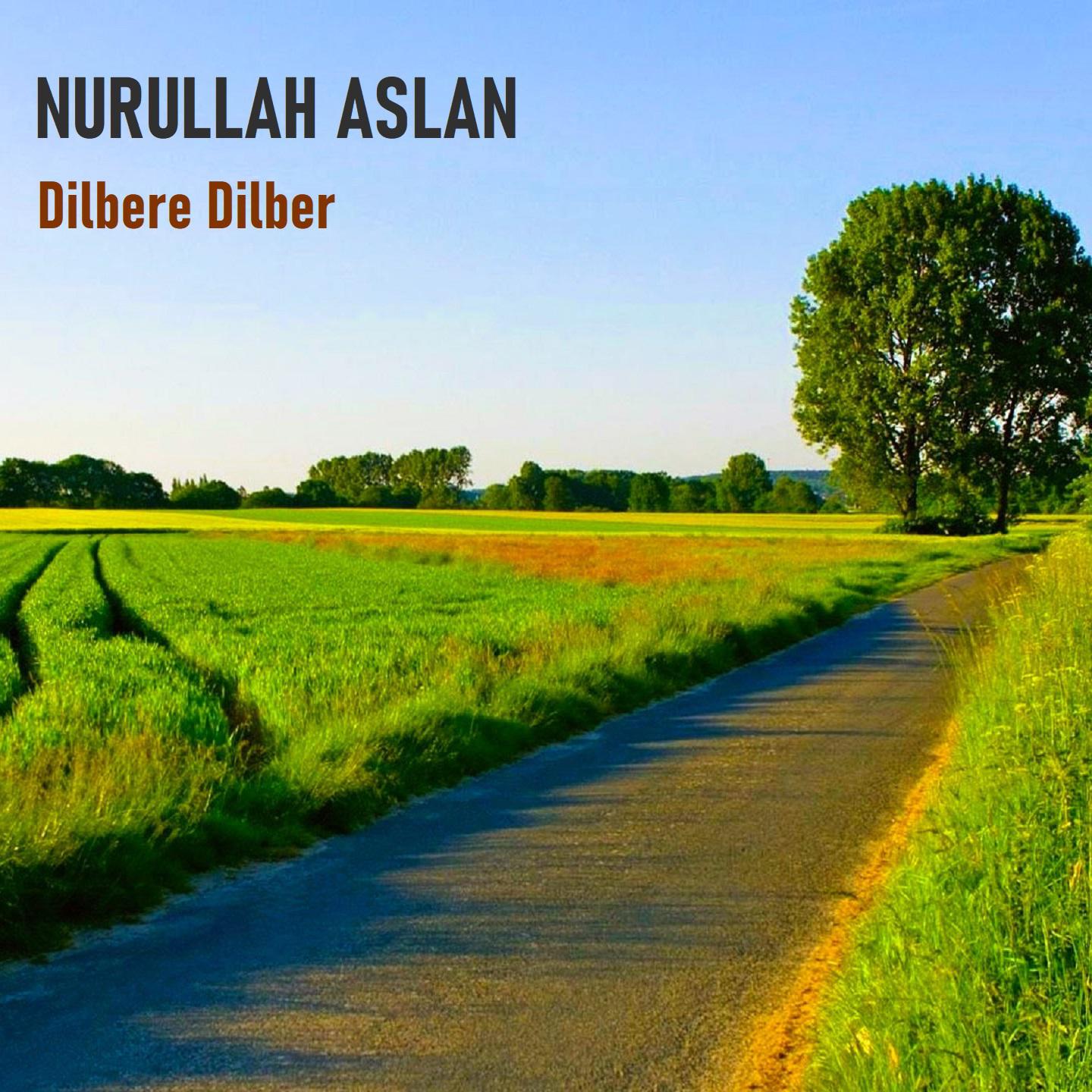 Постер альбома Dilbere Dilber