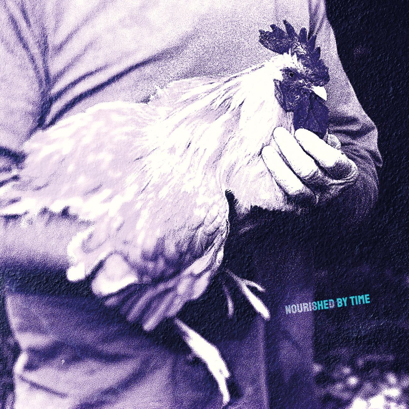 Постер альбома Catching Chickens EP