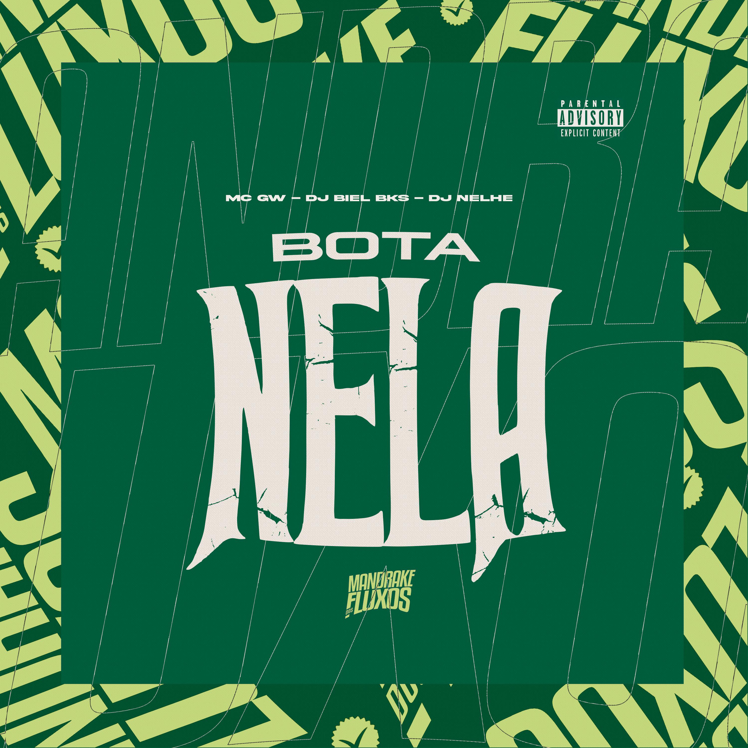 Постер альбома Bota Nela