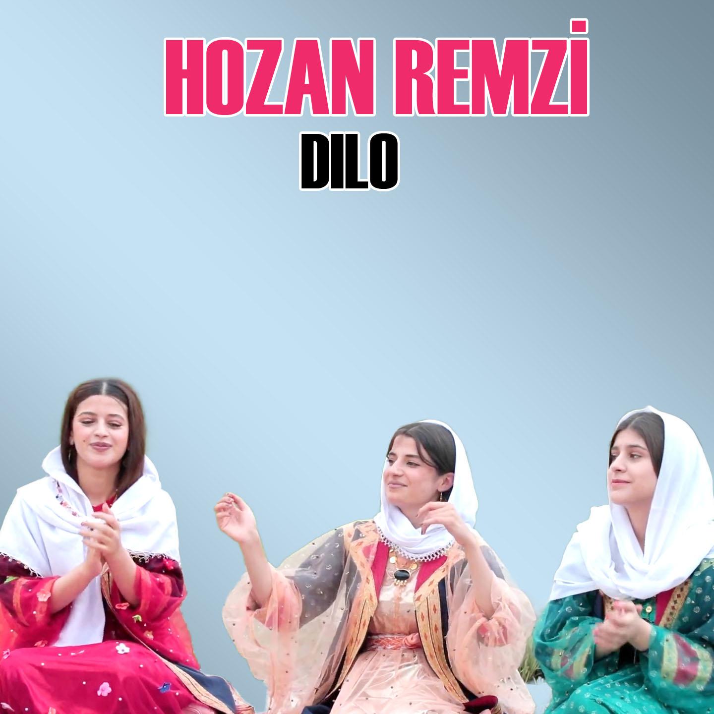 Постер альбома Dılo