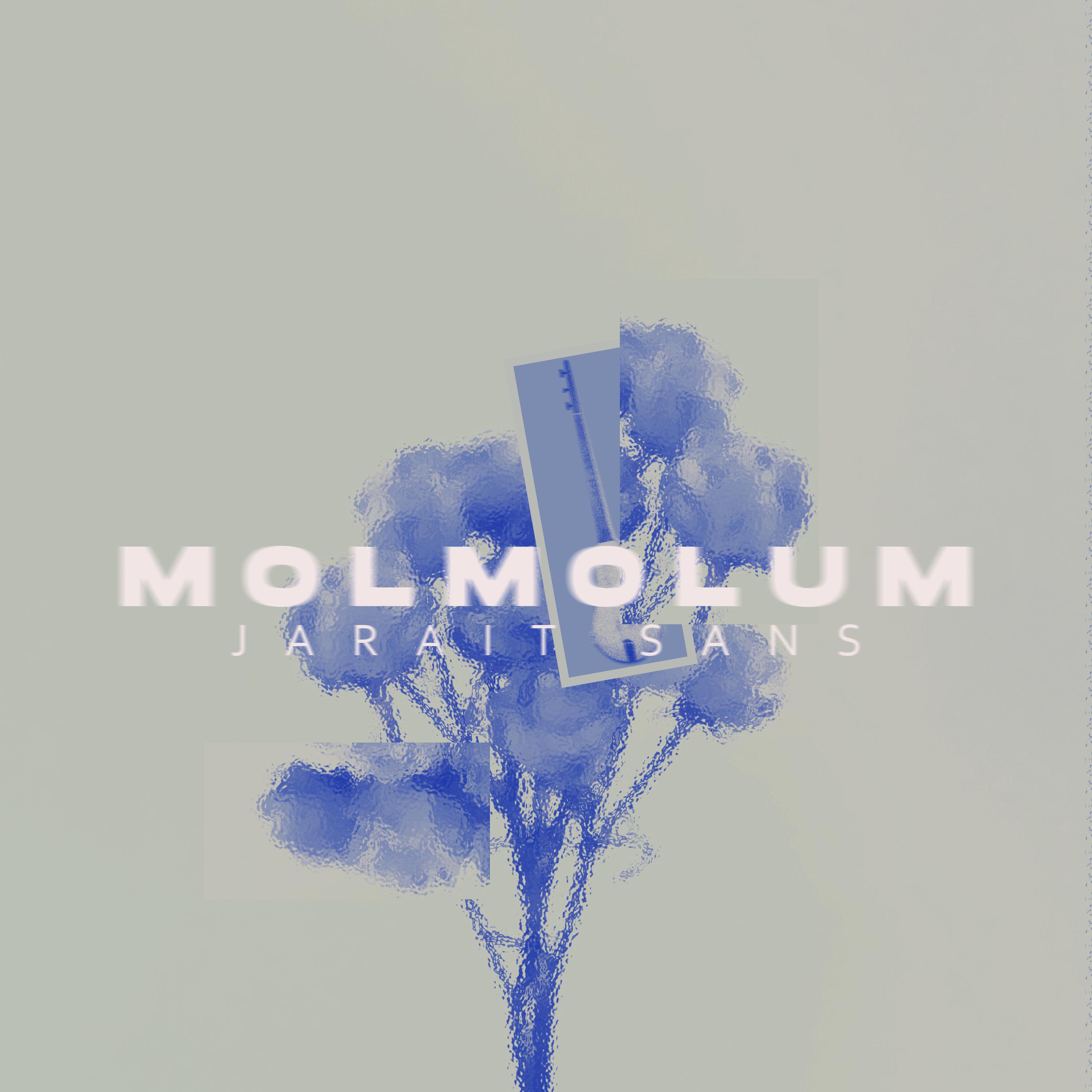 Постер альбома Molmolum
